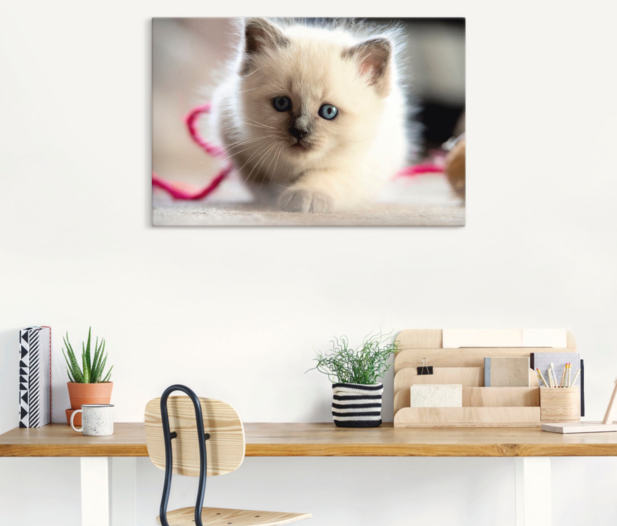 Artland Leinwandbild "Heilige Birma Katze im Spiel", Katzenbilder, (1 St.), günstig online kaufen