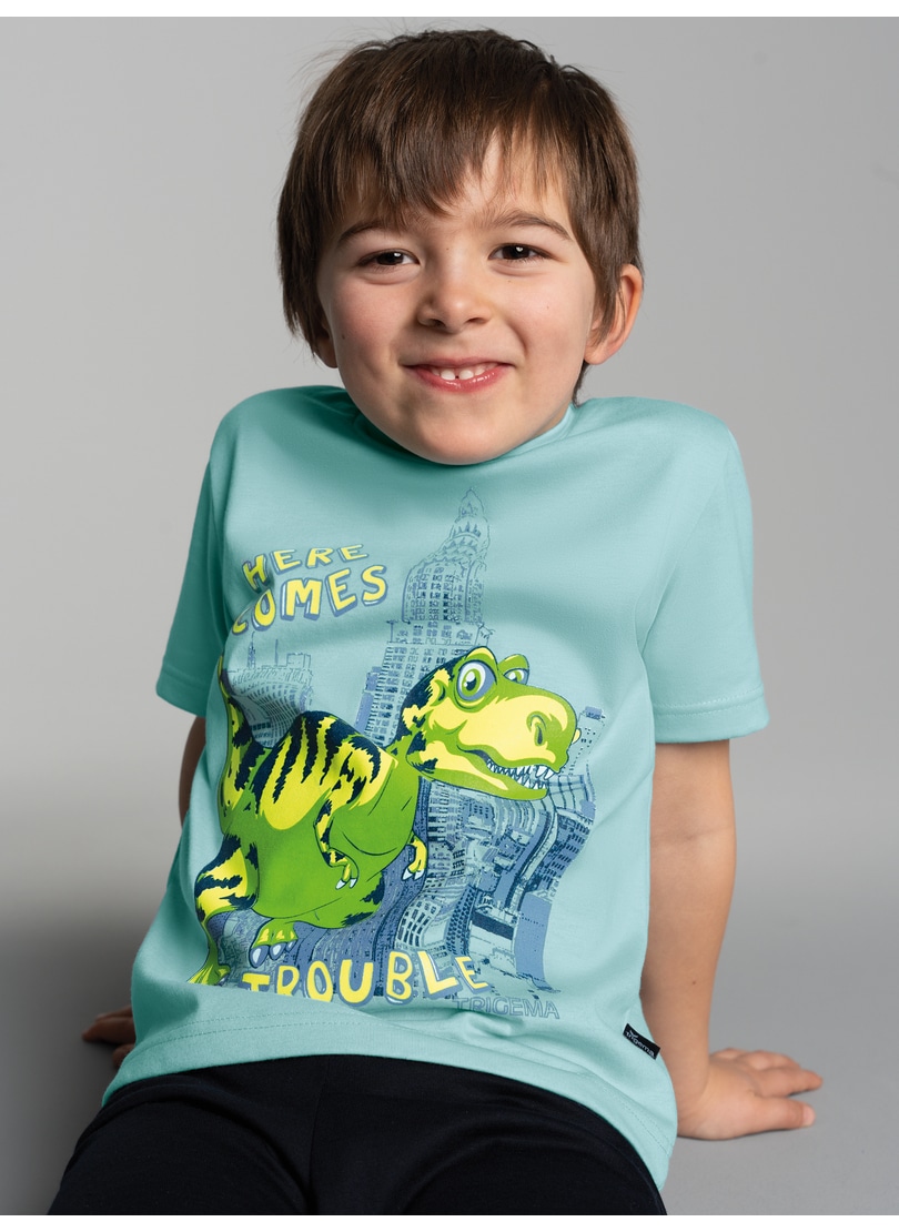 Trigema 1100000002199 "TRIGEMA T-Shirt mit großem Dino-Printmotiv" 1 Stk.