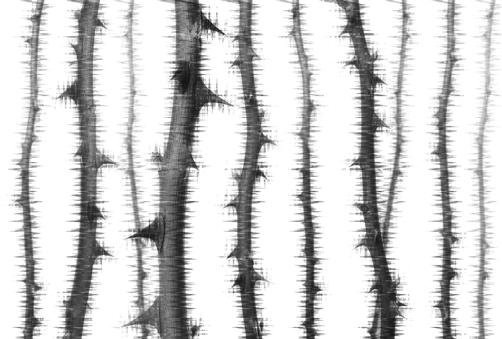 Architects Paper Fototapete "Atelier 47 Blurred Thorns 2" floral glatt Vlies, Wand, Schräge, Decke