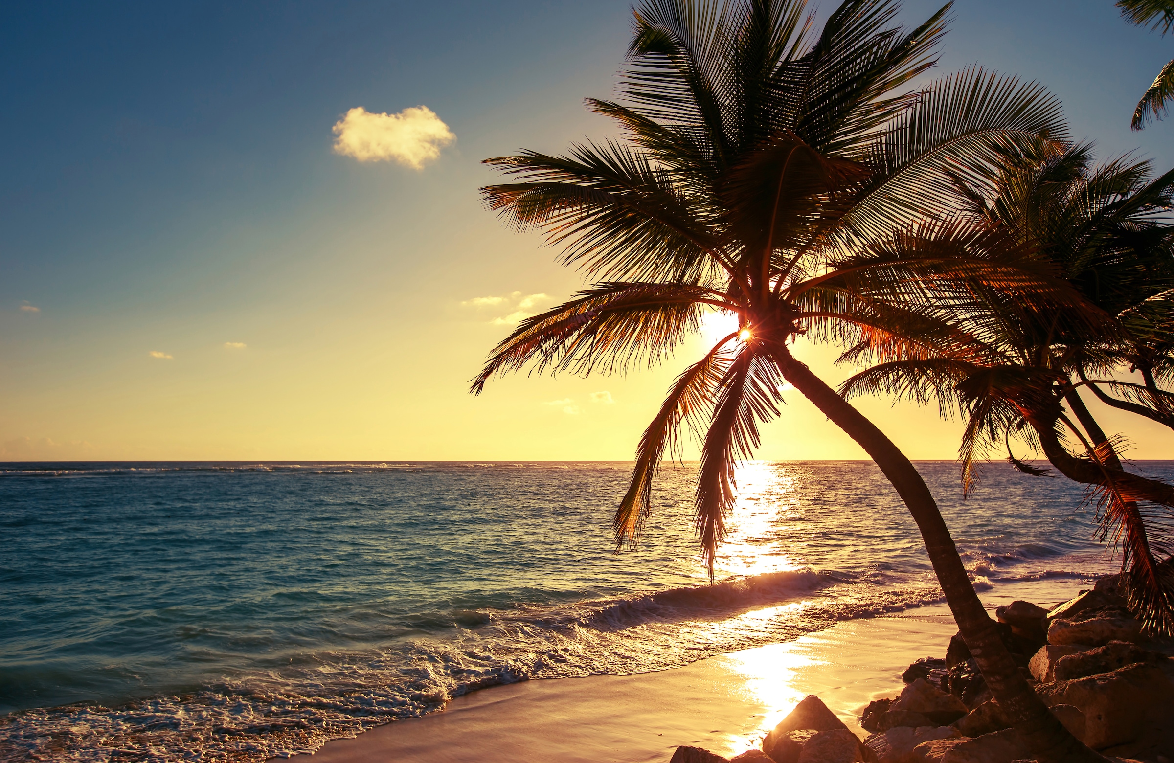 Fototapete »PALMEN-STRAND SONNENUNTERGANG NATUR MEER LANDSCHAFT XXL«