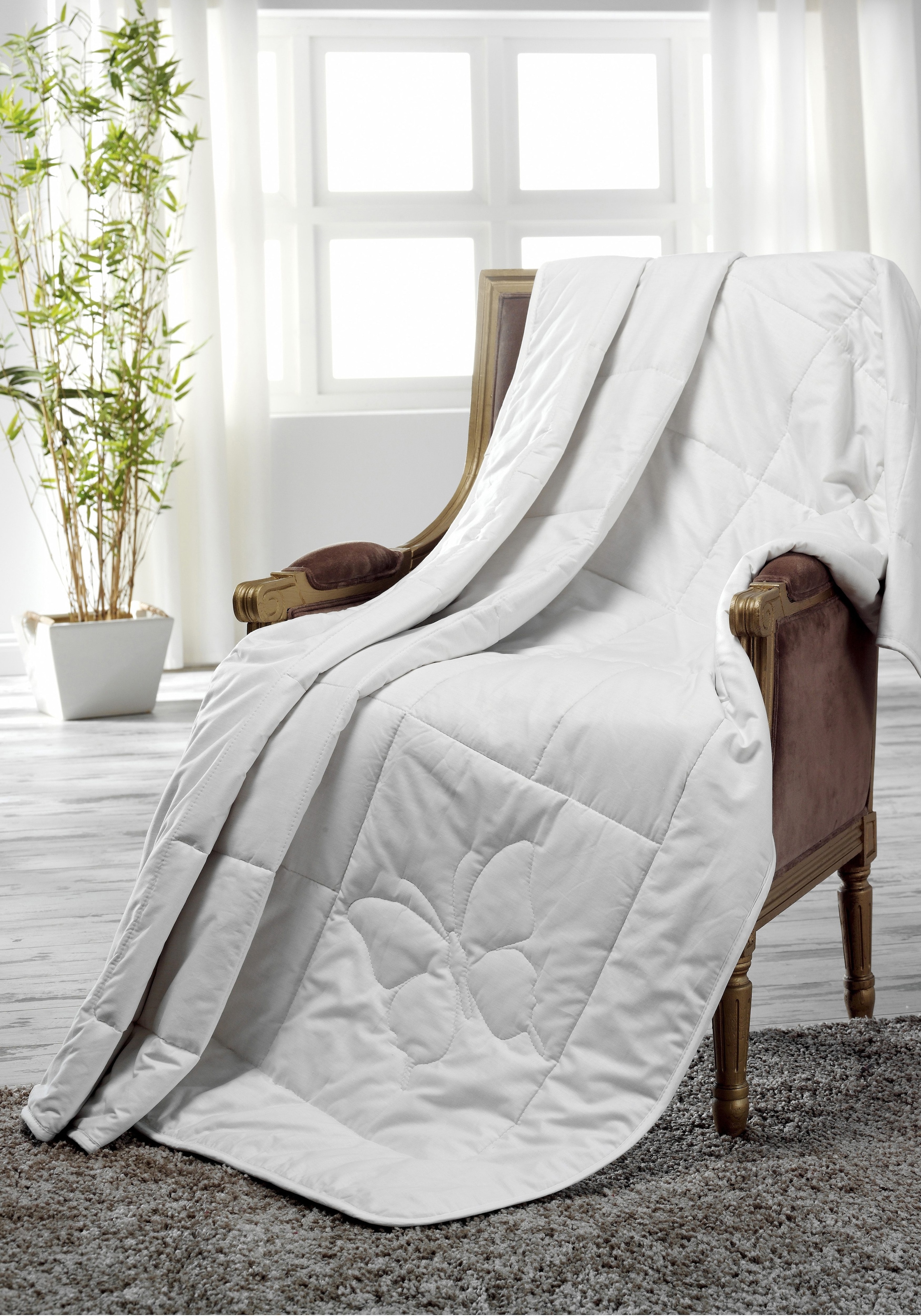 Dreams Naturfaserbettdecke "Classic" leicht Füllung 100Seide 1 Stk. tlg. gu günstig online kaufen