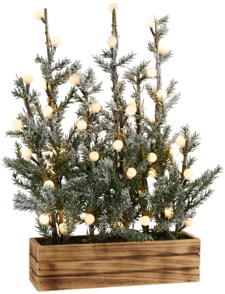 Schneider LED Baum »Tannenbäumchen«, im dekorativen Blumenkasten, Weihnachtsdeko