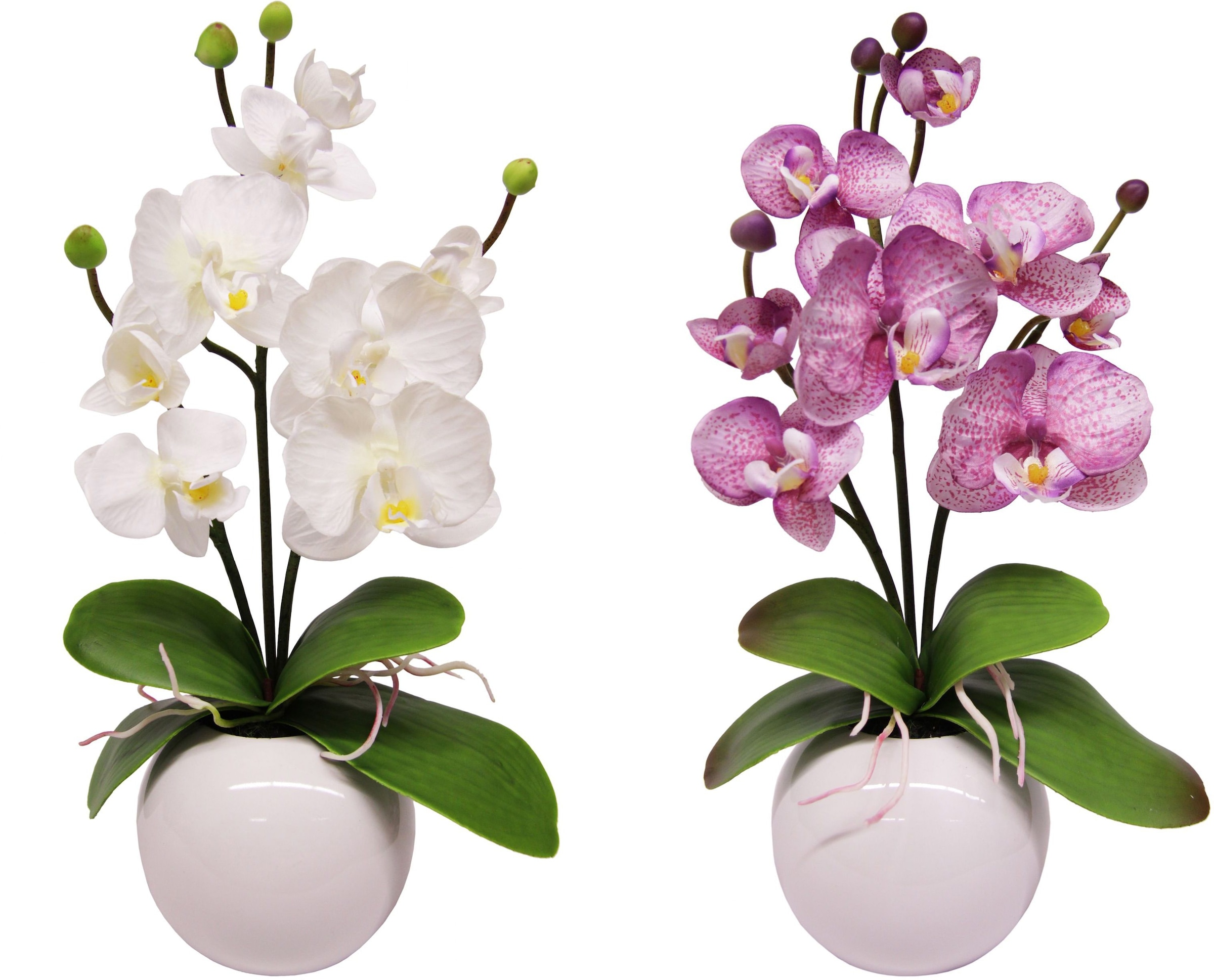 I.GE.A. Kunstpflanze »Orchidee«