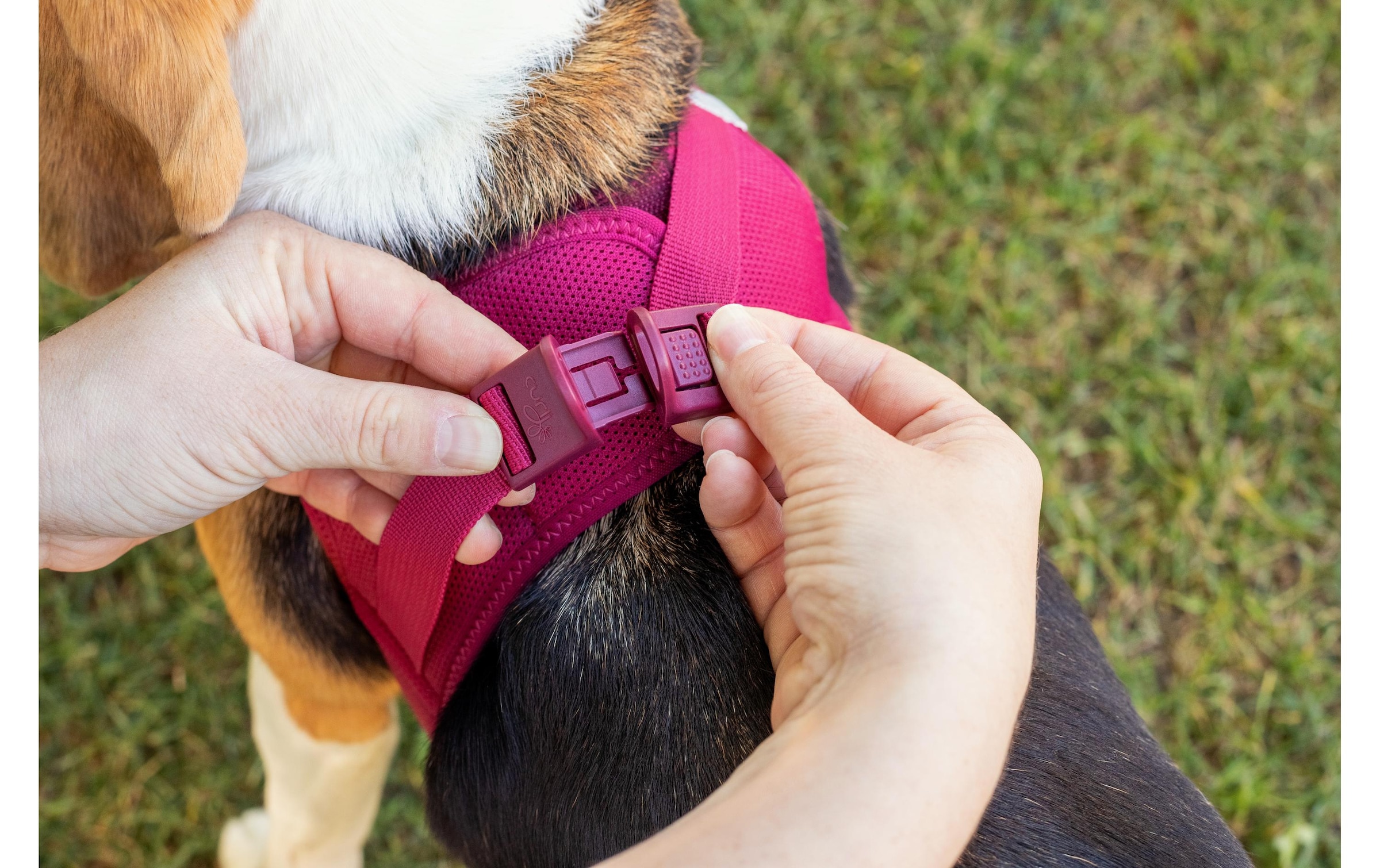 Curli Hunde-Geschirr »Vest Air-Mesh L« Polyester Hunderasse: Jack Russell