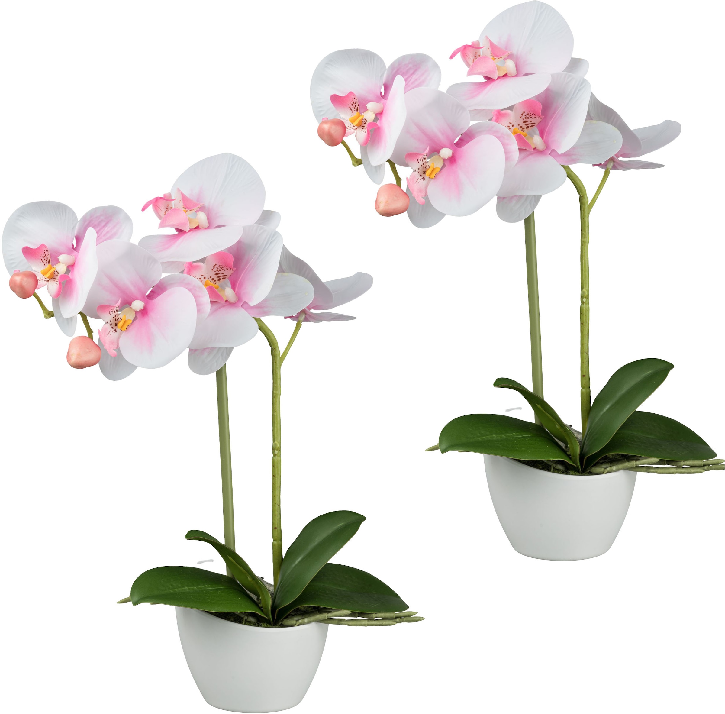 Creativ green Kunstorchidee »Orchidee Phalaenopsis«, im weißen Design-Topf