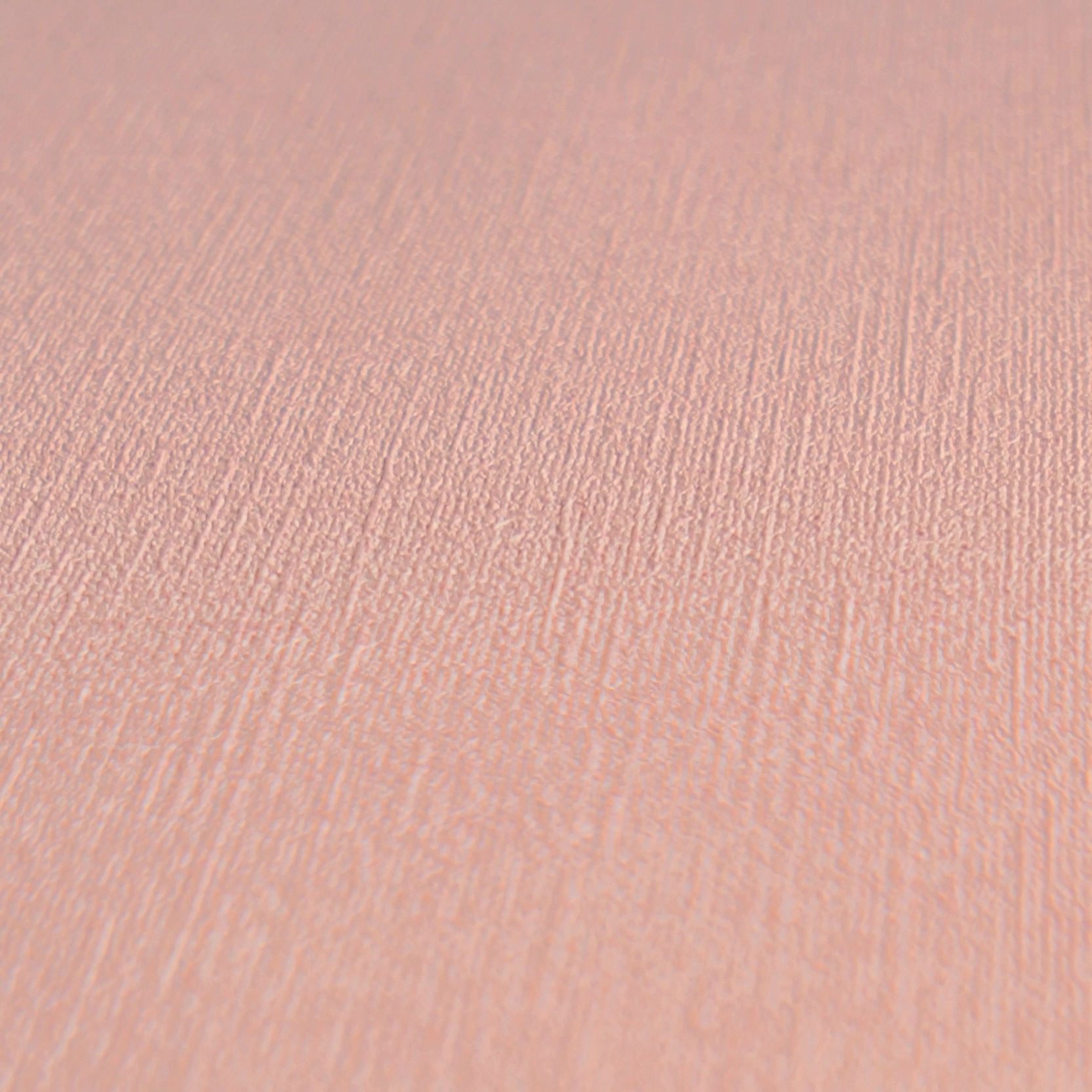 living walls Vliestapete »Zebra-Tapete Animal Print verschiedene Farben« matt glatt