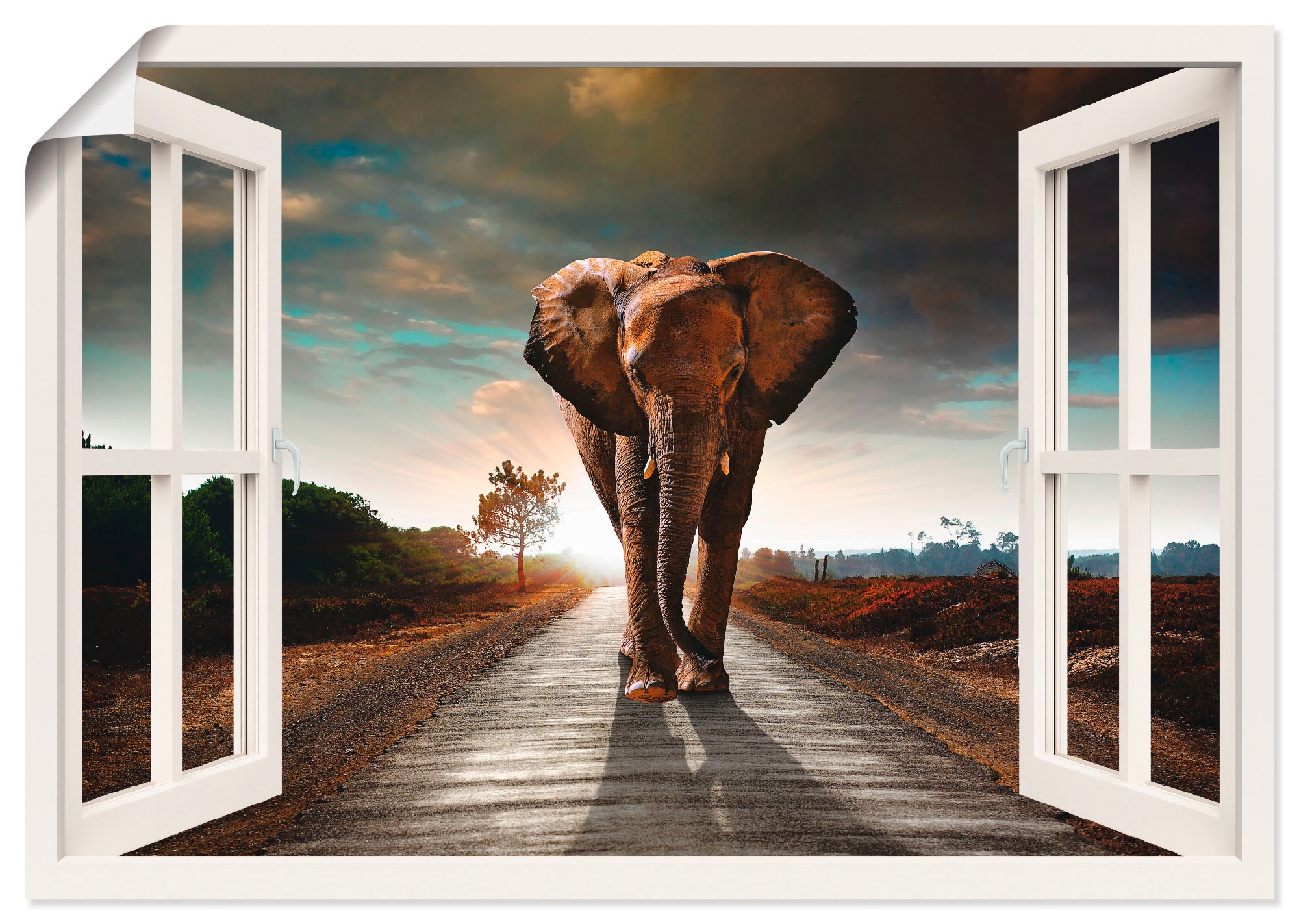 Artland Wandbild »Elefant auf Straße«, oder Größen | BAUR St.), Fensterblick, Leinwandbild, kaufen in Wandaufkleber versch. als (1 Poster