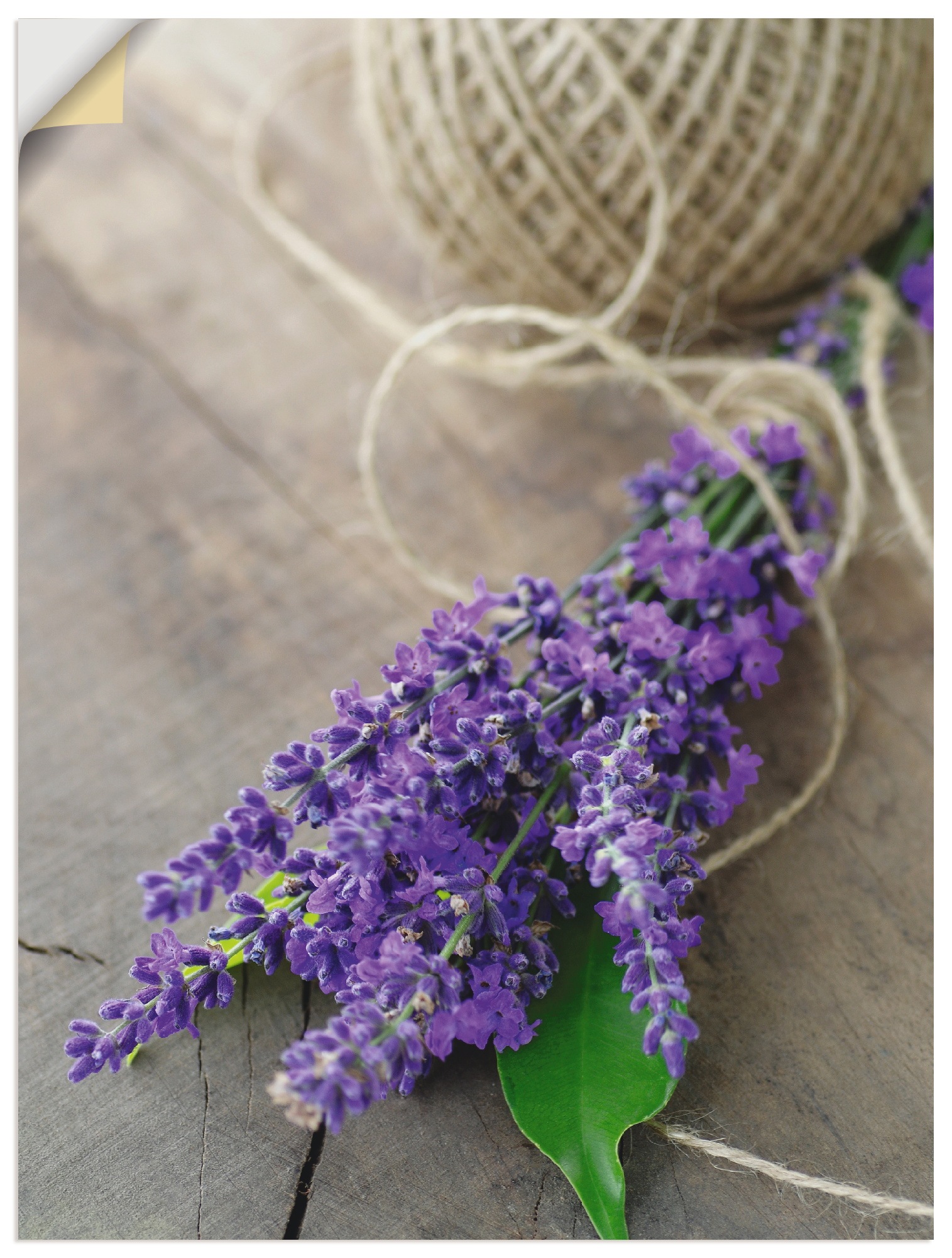 Artland Wandbild "Lavendel Strauß", Blumen, (1 St.), als Leinwandbild, Post günstig online kaufen