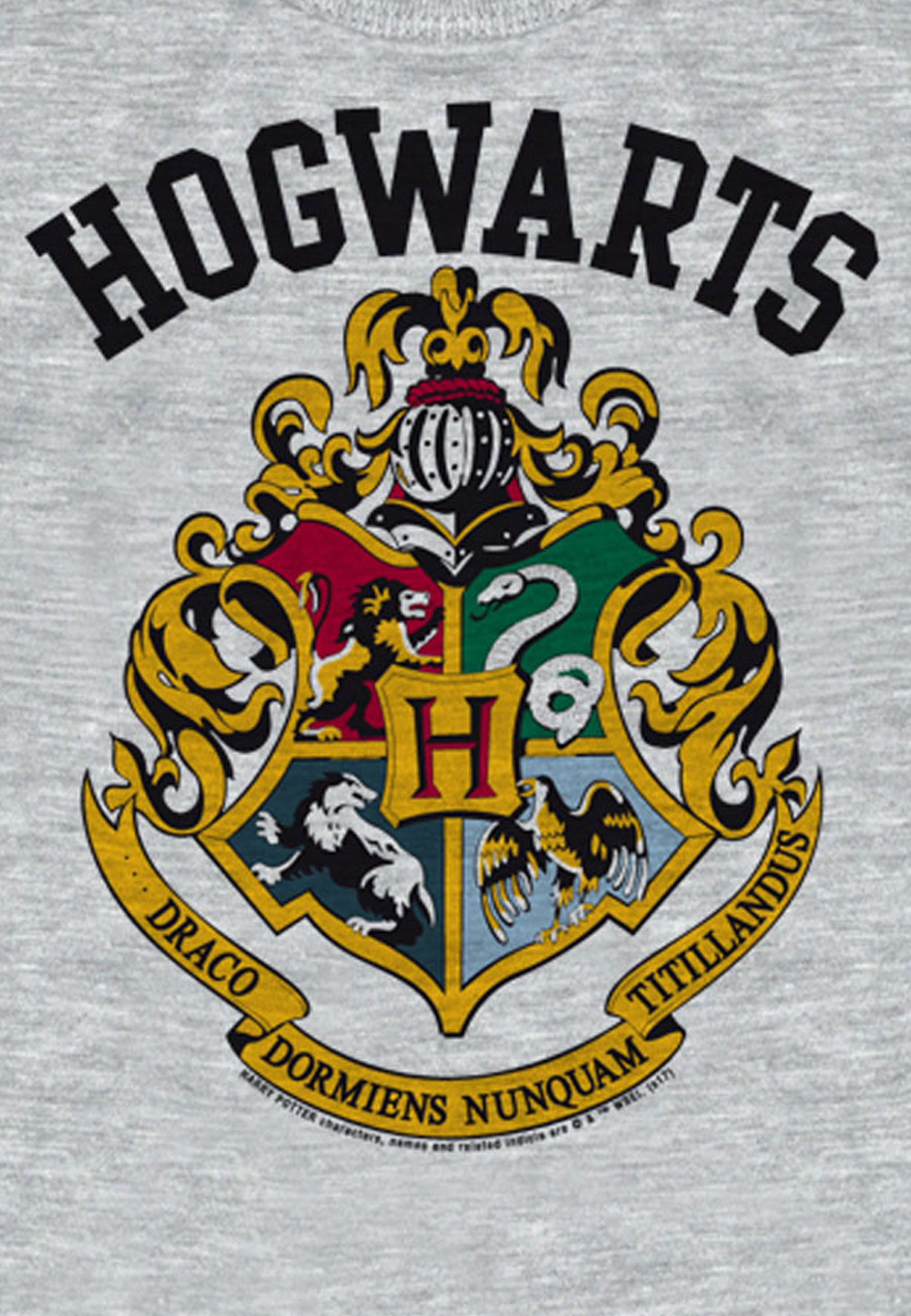 LOGOSHIRT Langarmshirt »Hogwarts«, mit detailliertem Print bestellen | BAUR