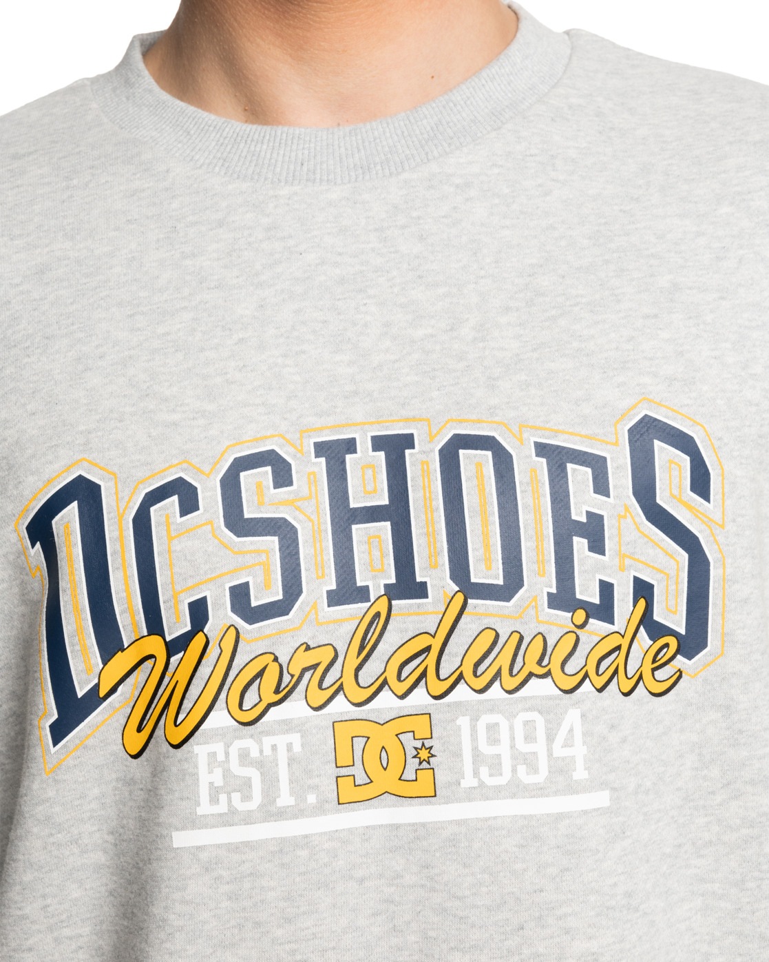 DC Shoes Sweatshirt »Tailgate«