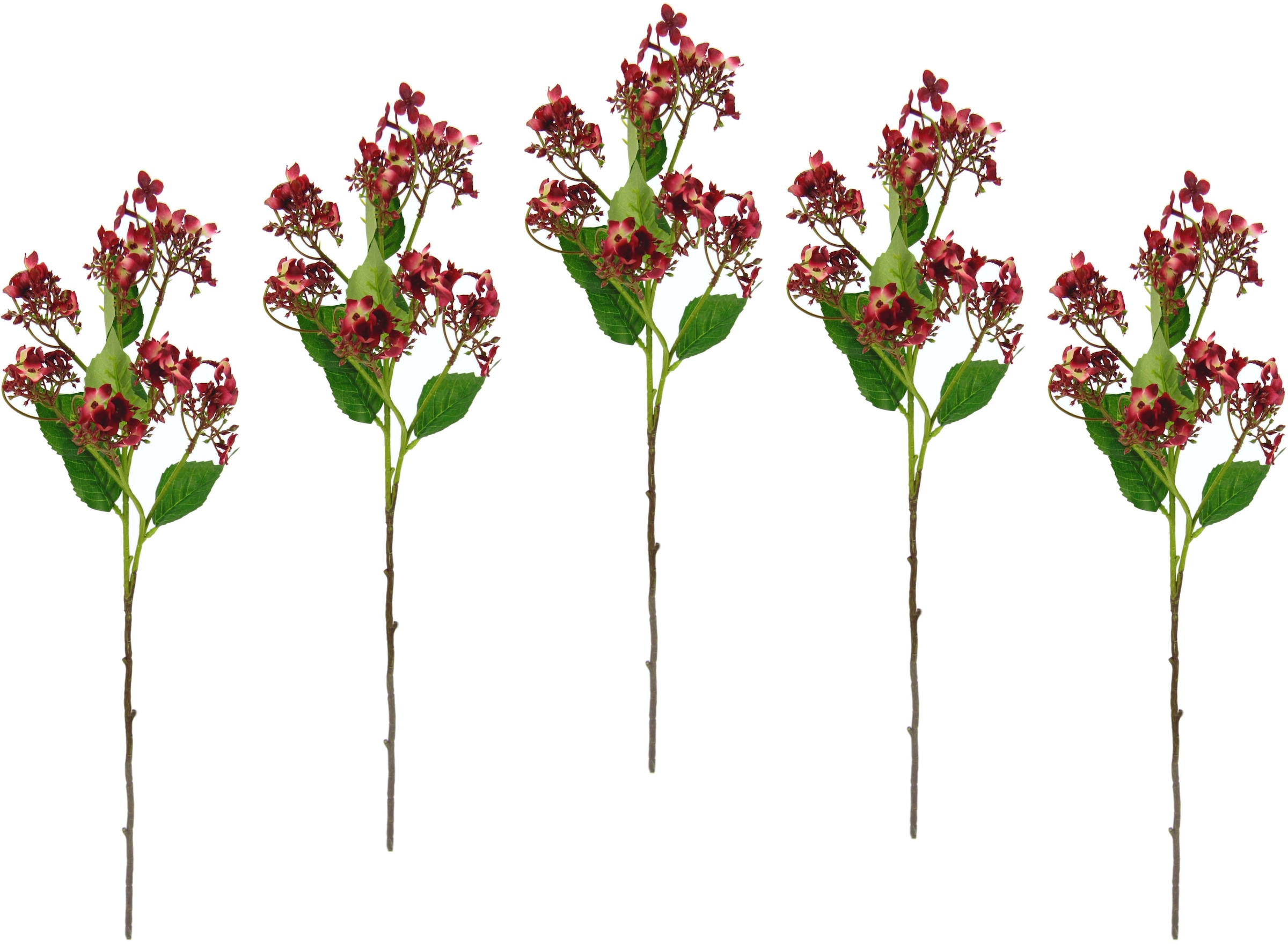 I.GE.A. Kunstblume »Blütenzweig«, bestellen Set Zweig, 5er | künstlicher BAUR Dekozweig Kunstpflanze