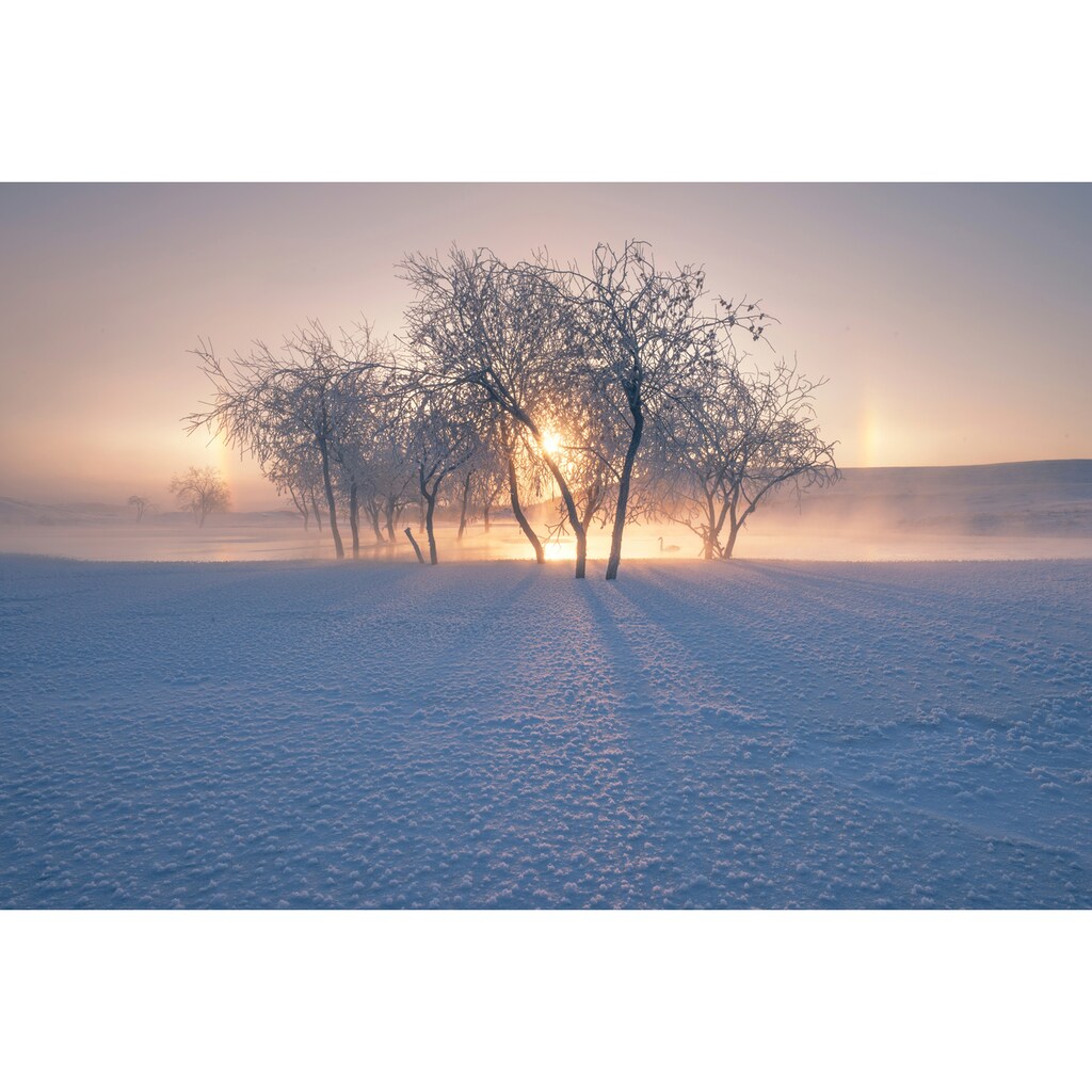 Papermoon Fototapete »Photo-Art BINGO Z, SCHNEELANDSCHAFT IM WINTER«