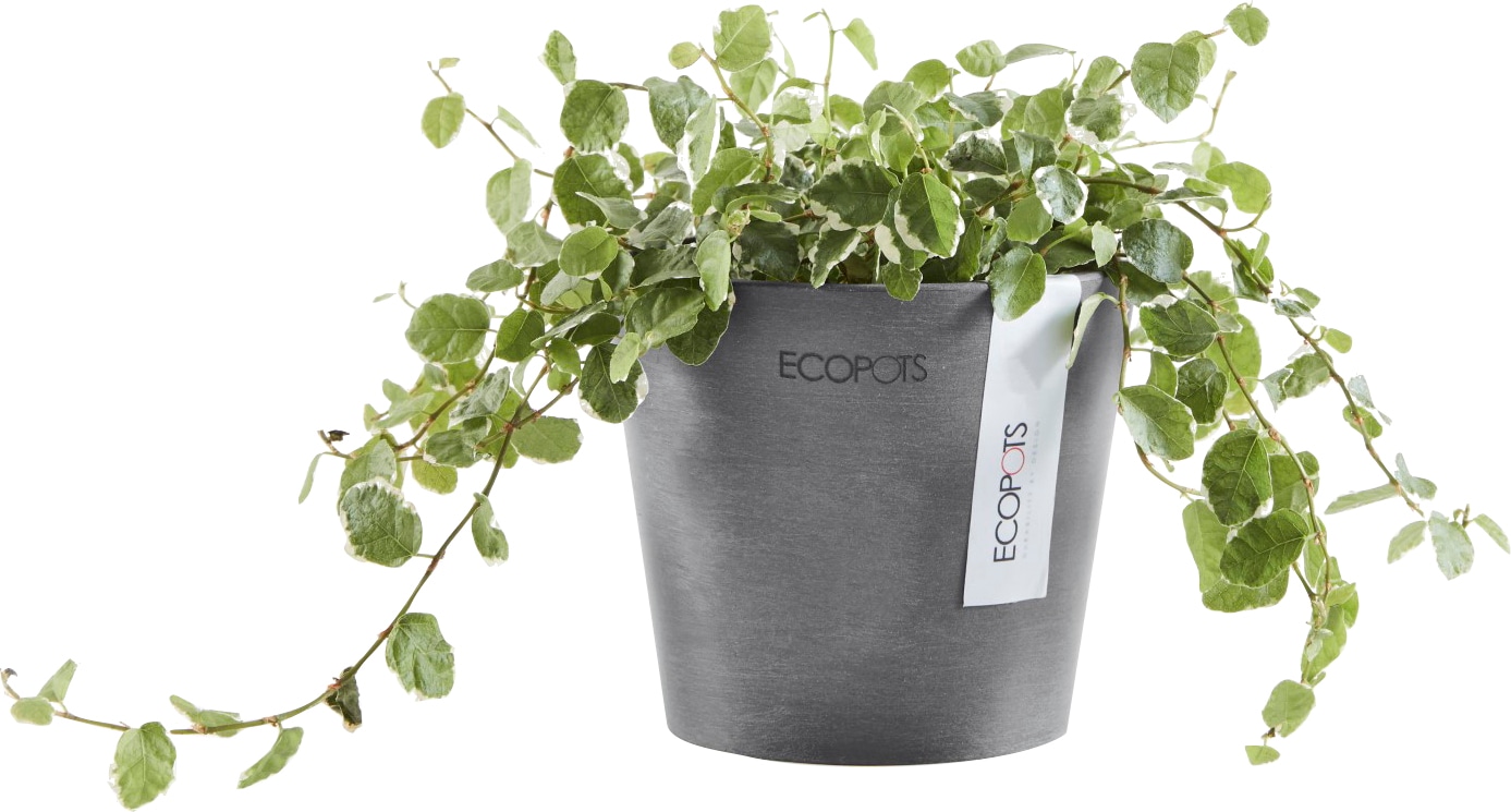 ECOPOTS Blumentopf »AMSTERDAM Mini Grey«, BxTxH: 10,5x10,5x9,2 cm