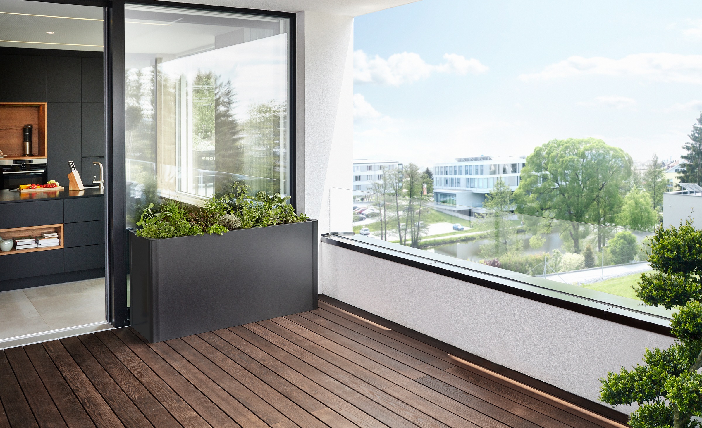 Biohort Hochbeet "BELVEDERE maxi 1,5x0,5; verschiedene Farben" 152x53x77 cm günstig online kaufen