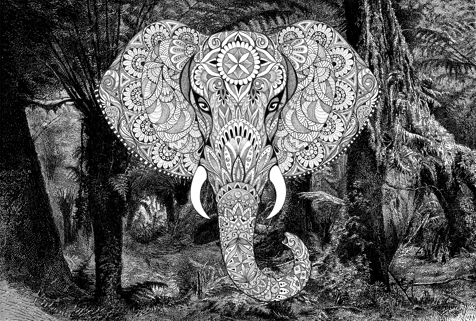 Architects Paper Fototapete "Atelier 47 Elephant Head 1" orientalisch glatt Vlies, Wand, Schräge, Decke