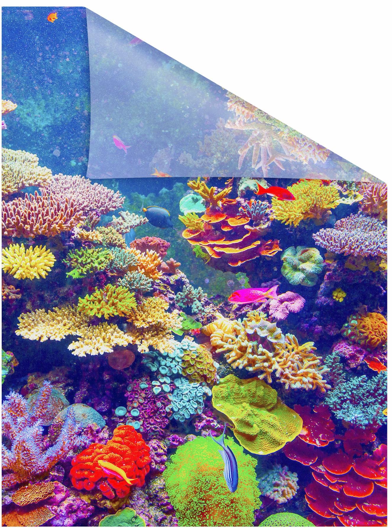 LICHTBLICK ORIGINAL Fensterfolie "Aquarium" 1 Stk. blickdicht strukturiert günstig online kaufen