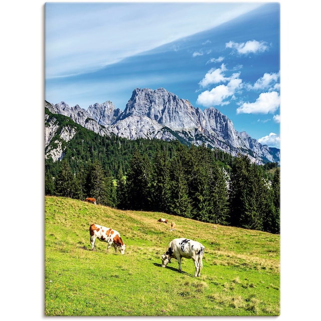 Artland Wandbild »Blick auf die Litzlalm mit Kühen«, Berge & Alpenbilder, (1  St.), als Alubild, Leinwandbild, Wandaufkleber oder Poster in versch. Größen  bestellen | BAUR