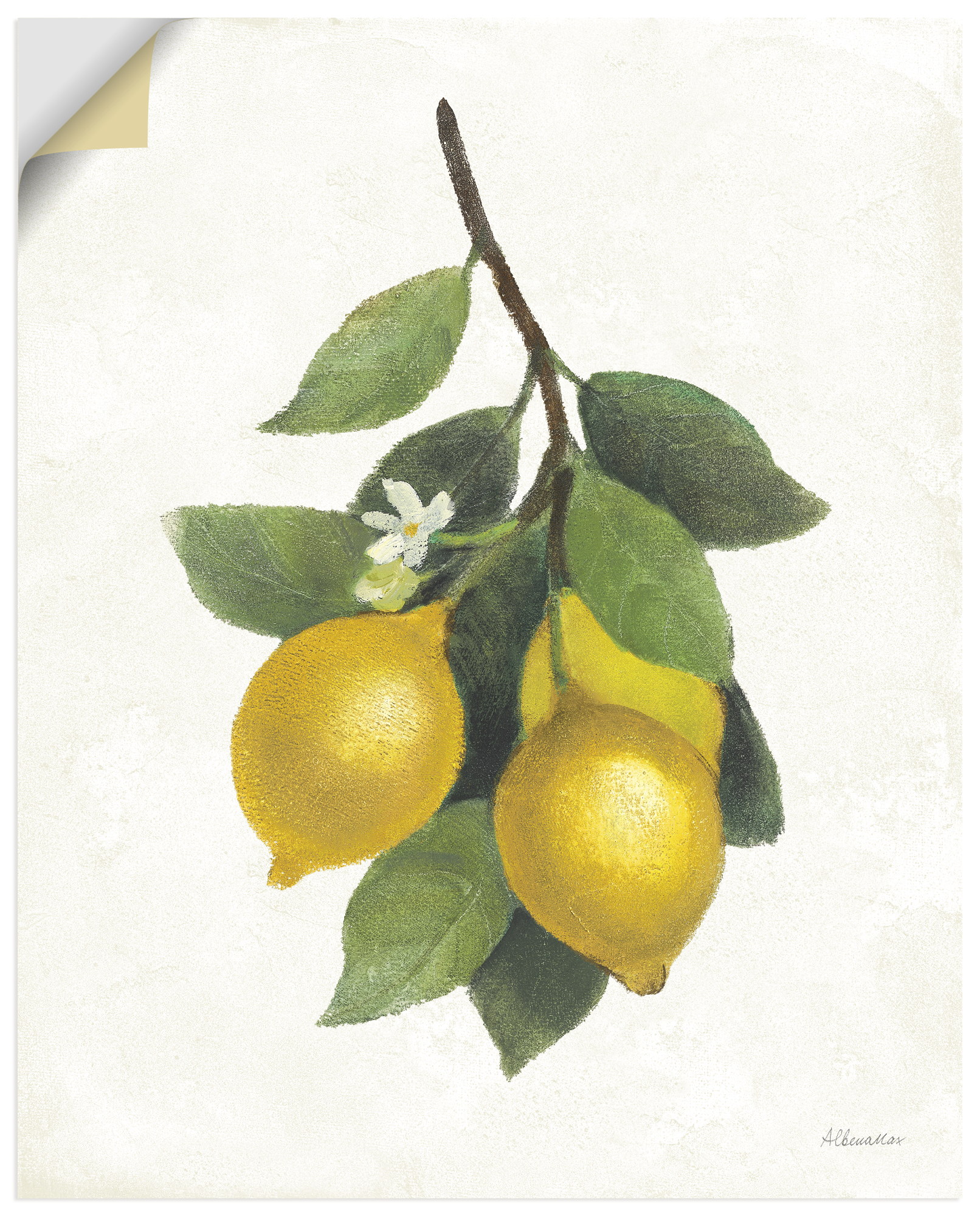 Artland "Lemon Branch III" Pflanzenbilder 1 Stk. tlg. als Alubild, Leinwandbild, Poster, Wandaufkleber in verschied. Größen
