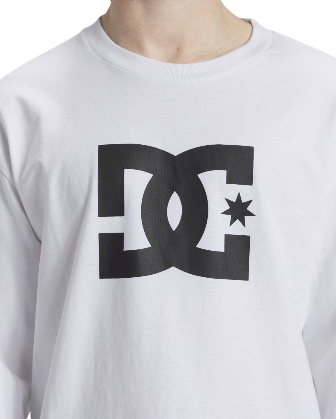 DC Shoes Langarmshirt »DC Star Hls«