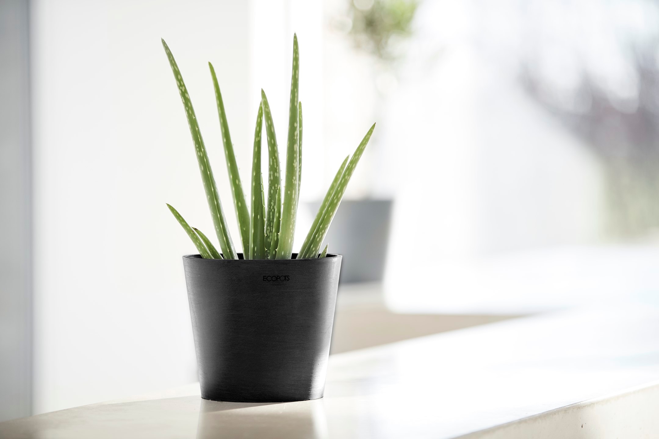 ECOPOTS Blumentopf »AMSTERDAM Mini Dark Grey«, BxTxH: 17x17x14,9 cm