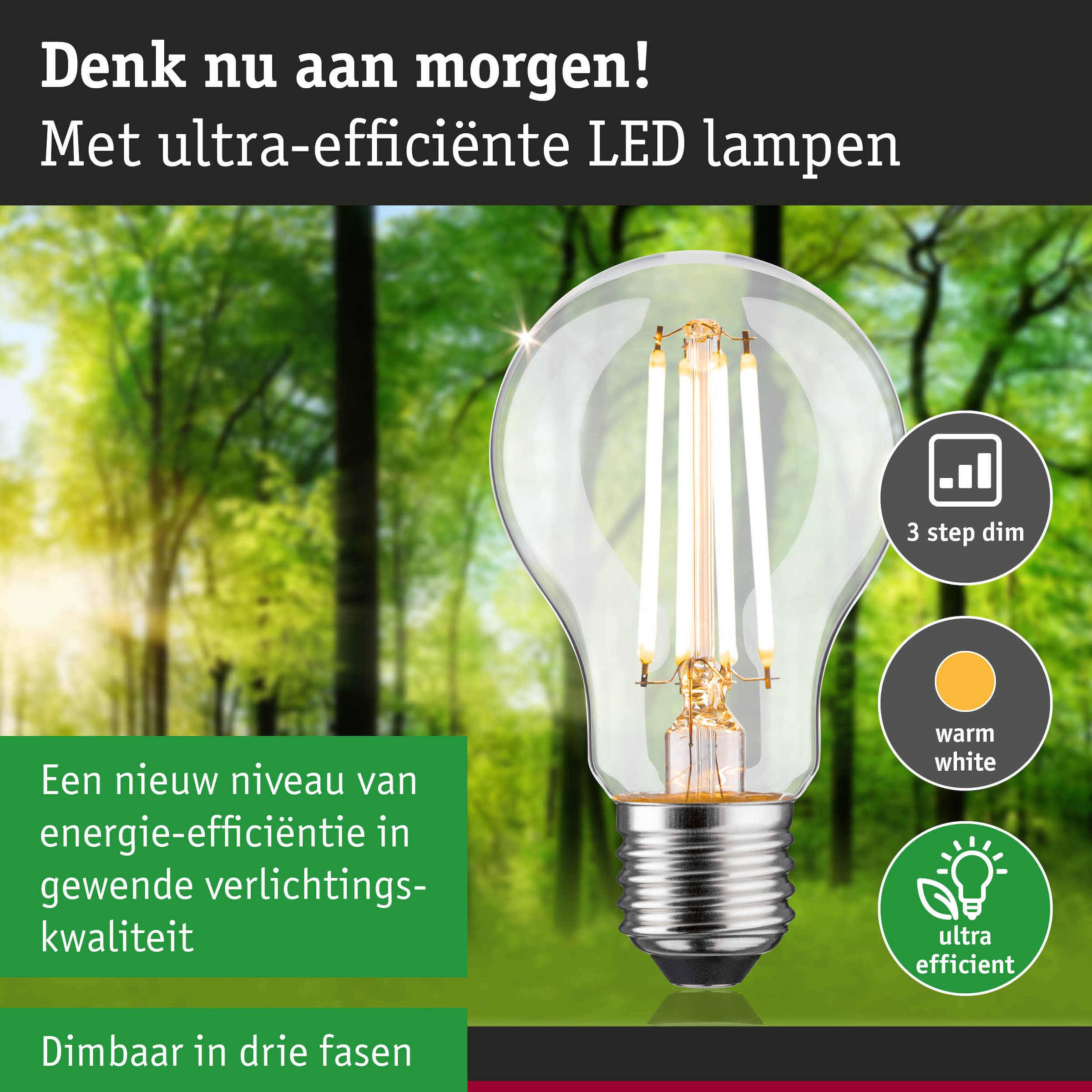 Paulmann LED-Leuchtmittel »Eco-Line Filament 230V LED Birne E27 1521lm 8,2W 3000K dimmbar Klar«, E27, 1 St., Warmweiß