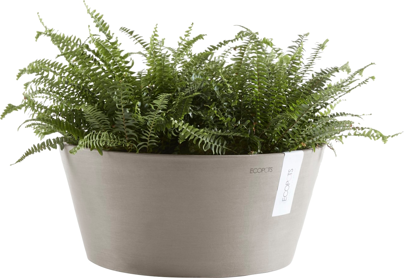 ECOPOTS Blumentopf »FRANKFURT Taupe«, BxTxH: 41x41x18 cm bestellen | BAUR