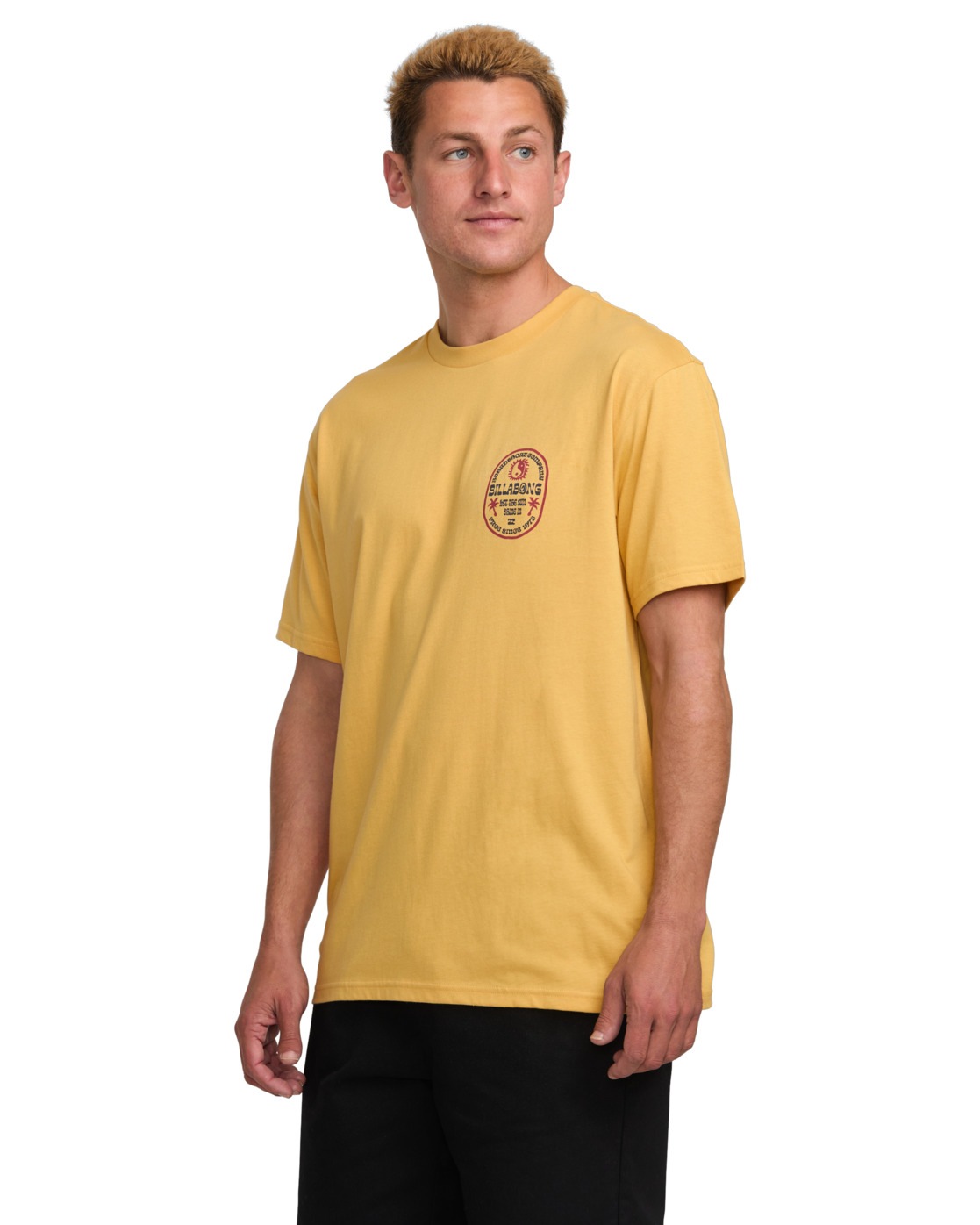 Billabong T-Shirt »Sunny Daze Premium«