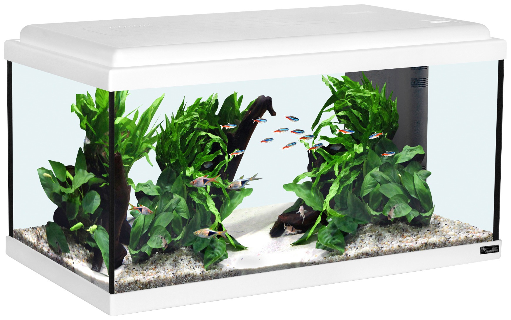 Aquatlantis Aquarium »Advance 60 LED«, 60x30x34 cm, 54 bestellen BxTxH: BAUR | l