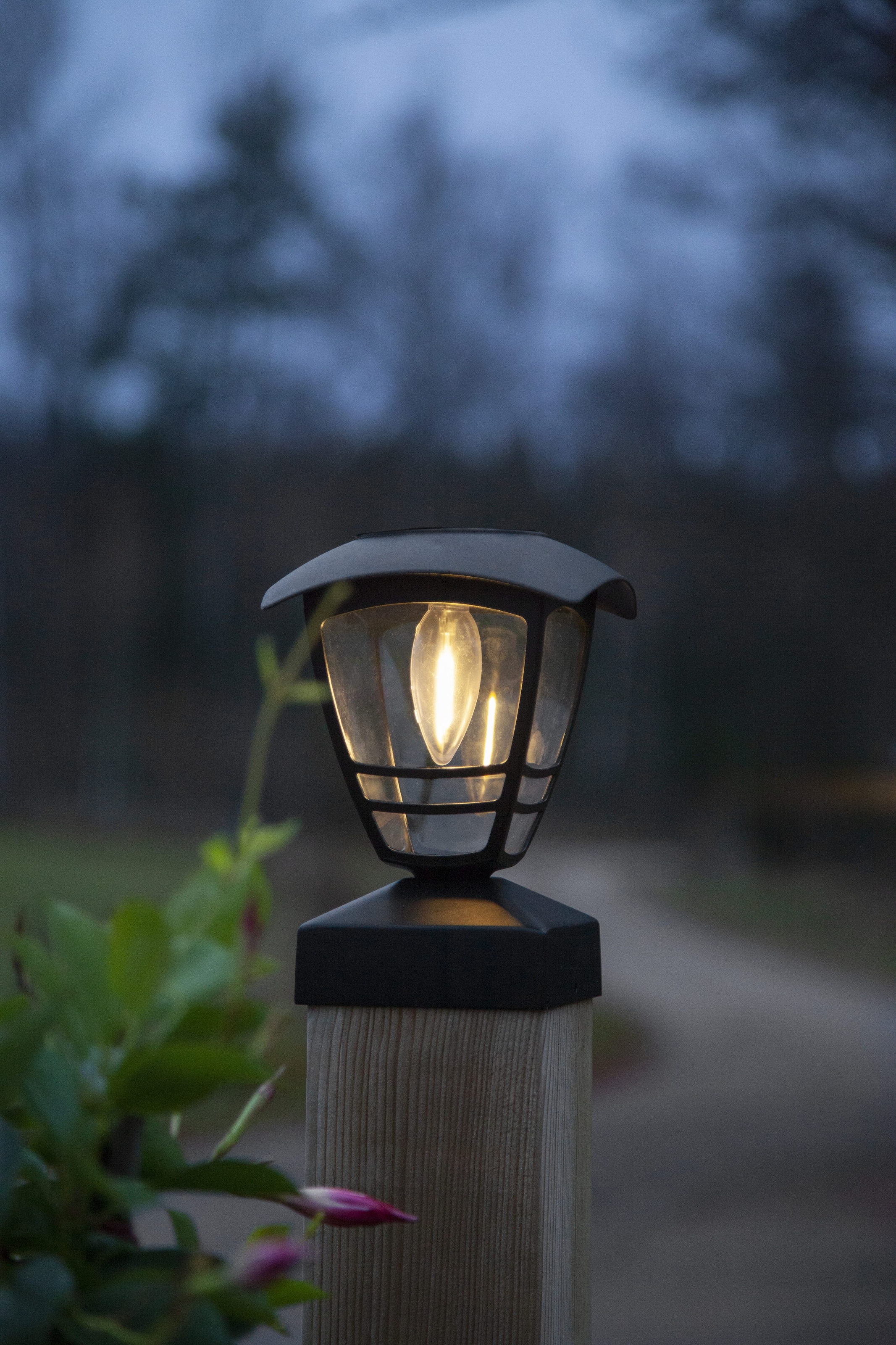 Parforce Traditional Hunting LED Solarleuchte »Solar Dekoration Felix« LED-Board 1 Stk. Warmweiß Pfostenleuchte mit Filament-LED, Dämmerungssensor