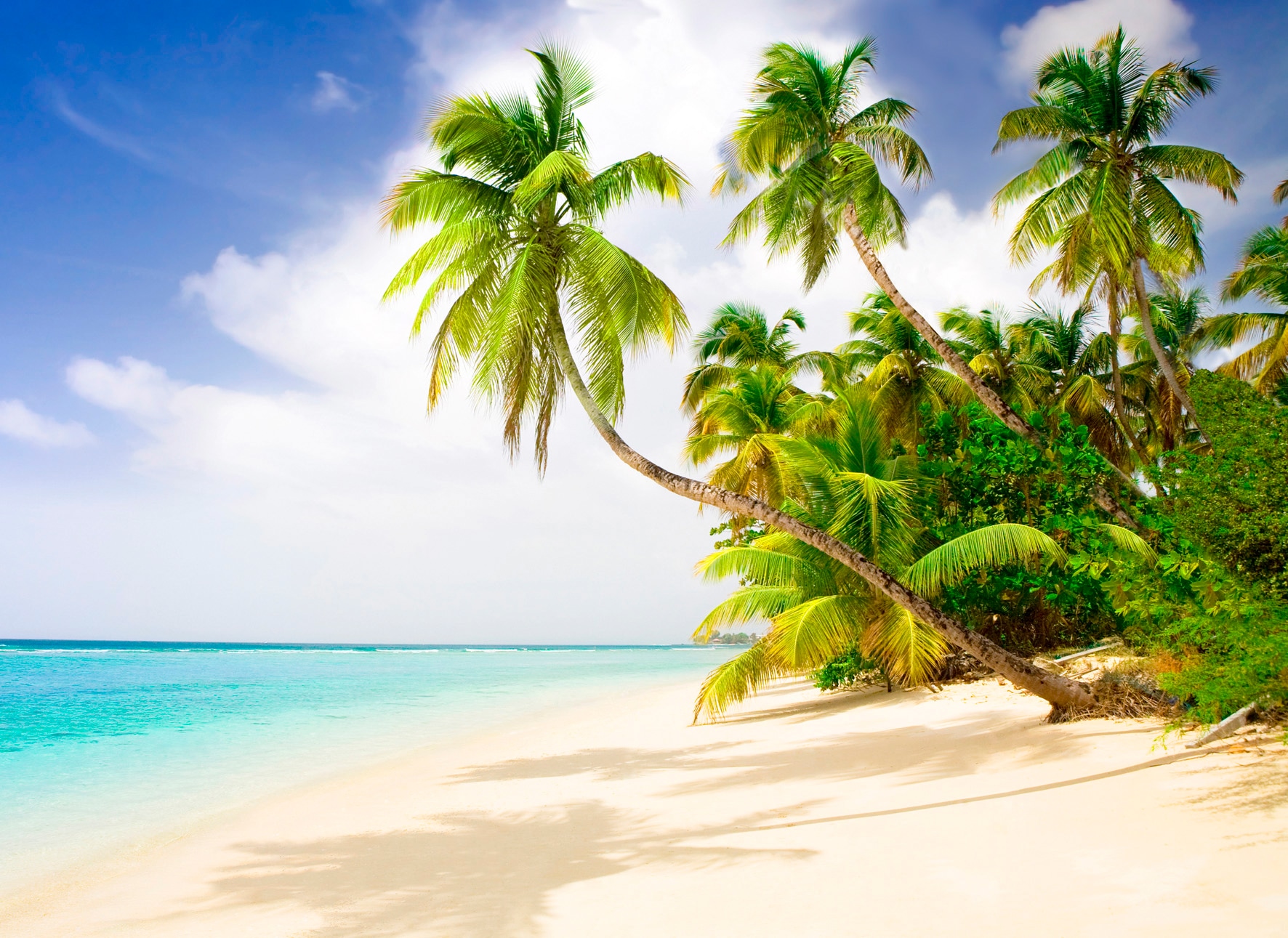 Papermoon Fototapete "Beach in the South Seas" glatt