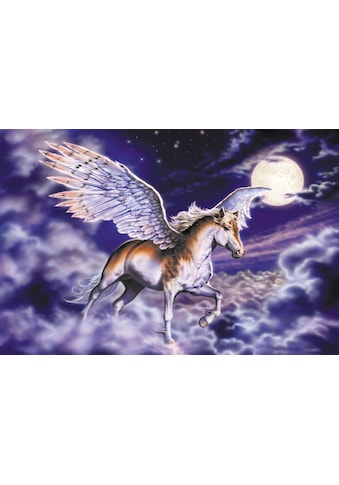 Papermoon Fototapetas »Pegasus«