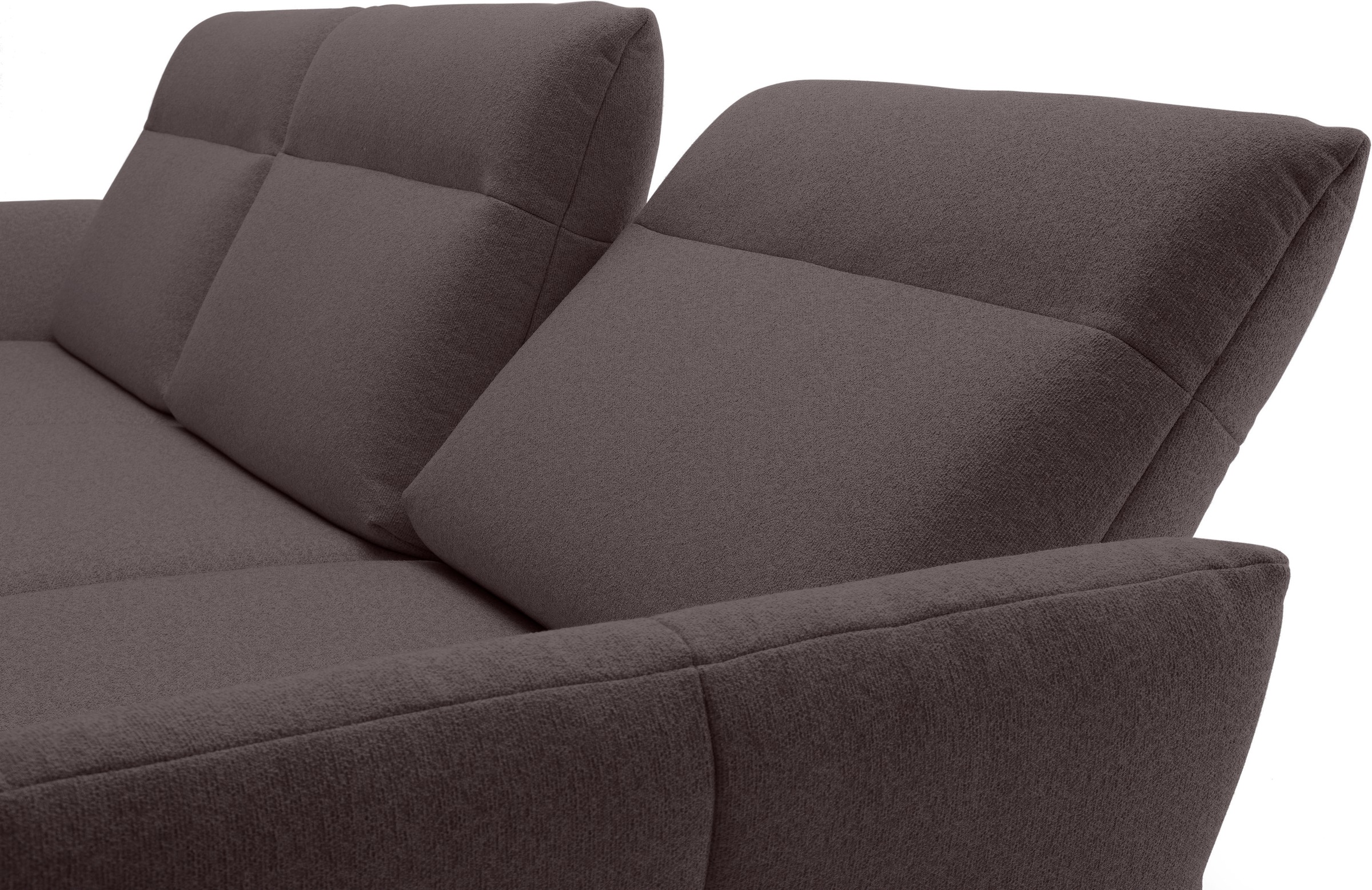 Creation BY ROLF BENZ Ecksofa »CR.460«, Sockel in Eiche, Winkelfüße in Umbragrau, Breite 318 cm