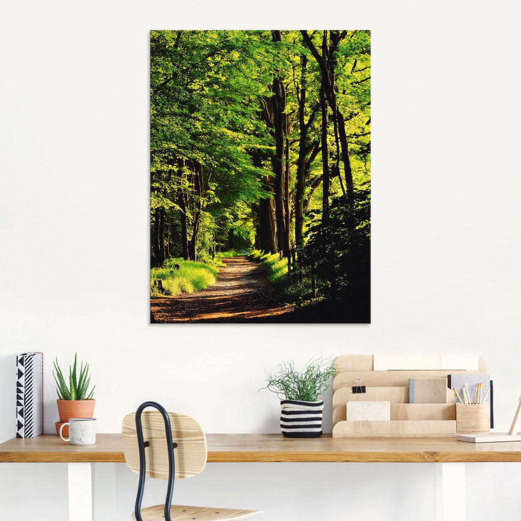 Artland Glasbild »Weg im Wald«, Wald, (1 St.)