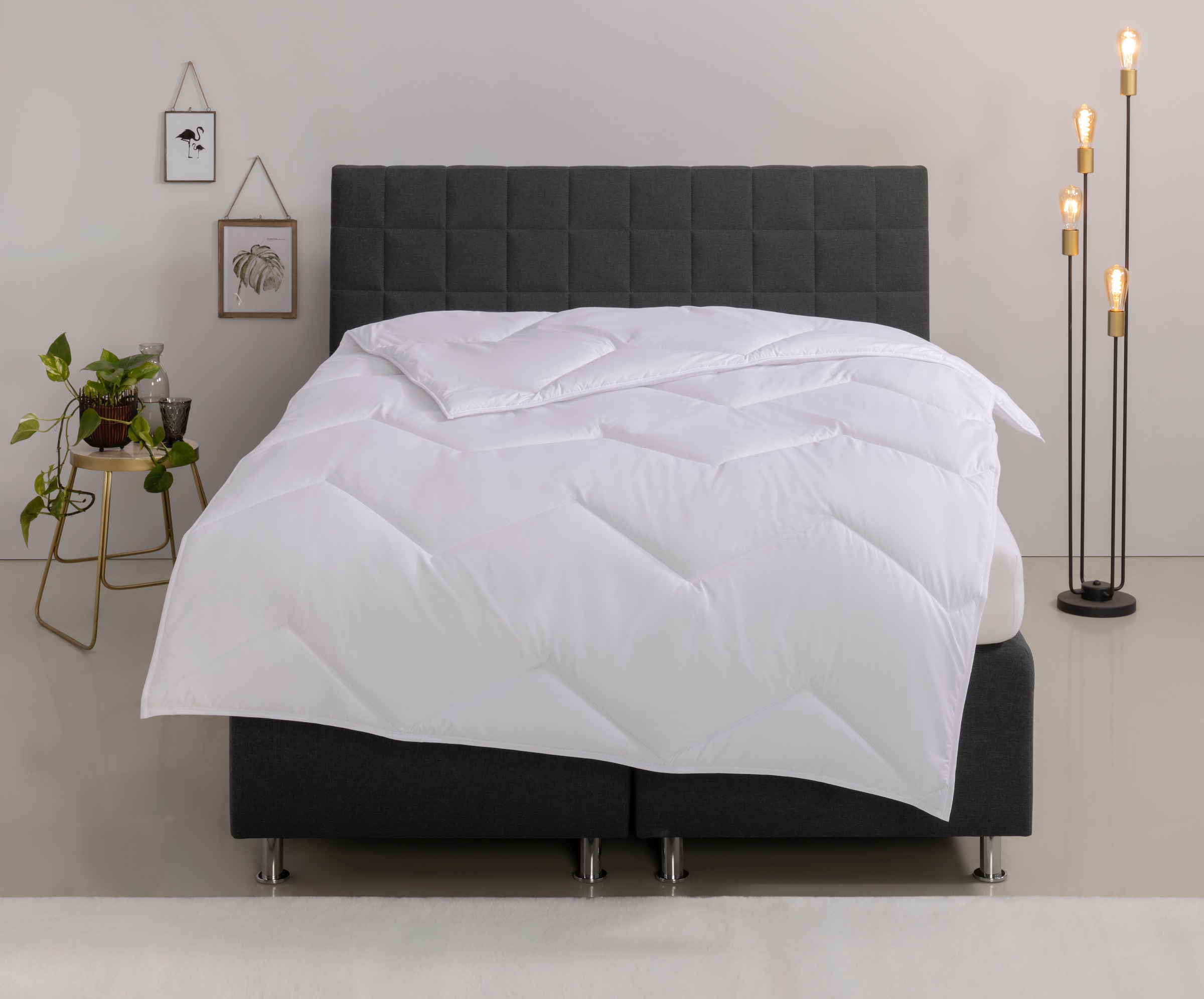 OTTO home Microfaserbettdecke "Sartes, Bettdecke 135x200 cm, 155x220 cm" leicht Füllung Polyester Bezug Polyester 1 Stk. tlg. Bettdecken, Sommer, Decke, für Allergiker geeignet