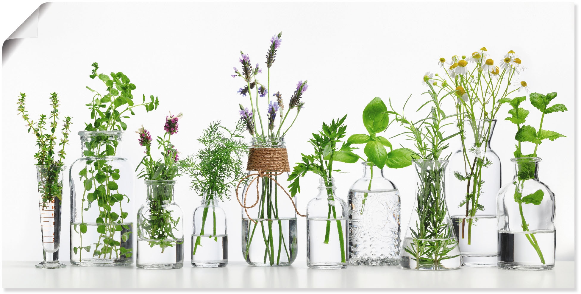 Artland Wandbild "Öle mit Kräutern" Kräuterbilder 1 Stk. tlg. als Alubild, günstig online kaufen