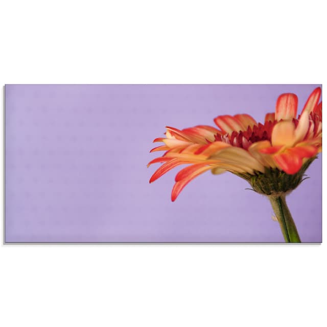 Artland Glasbild »Blume«, Blumen, (1 St.), in verschiedenen Größen kaufen |  BAUR