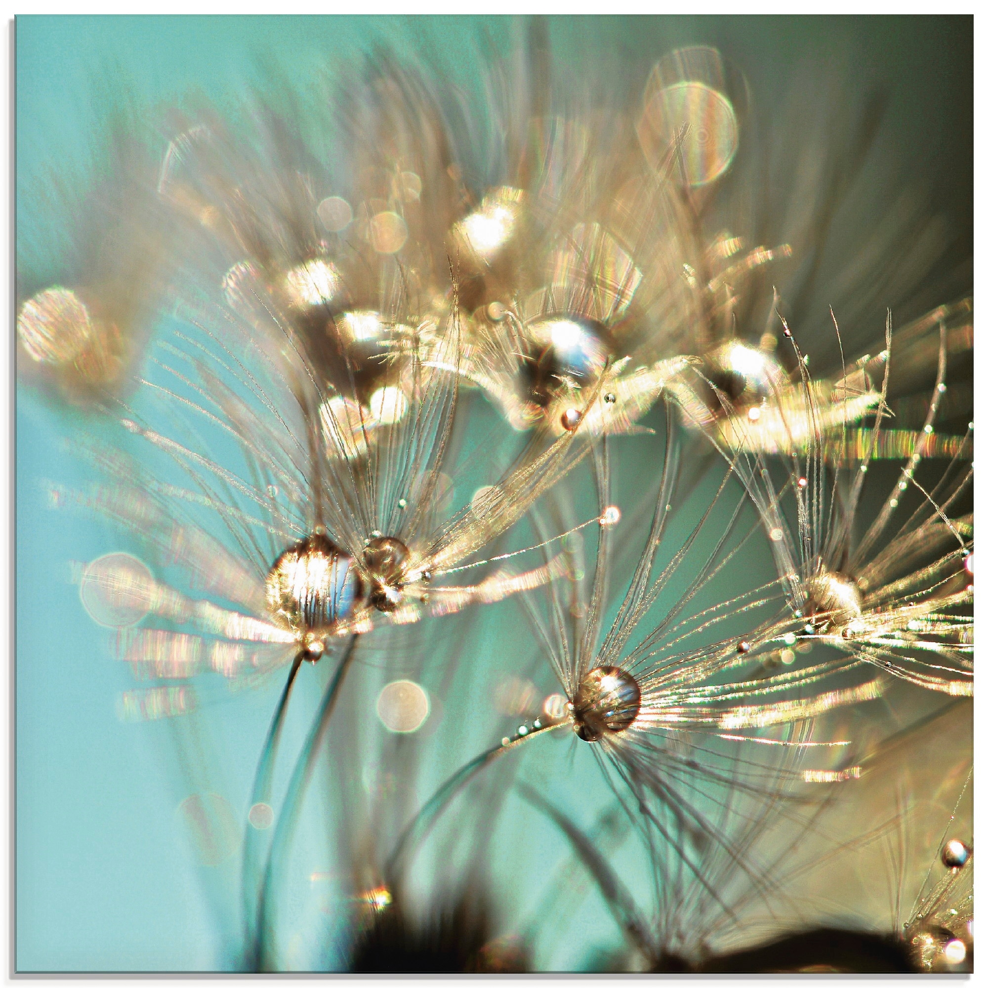 Artland Glasbild "Pusteblume glänzendes Gold", Blumen, (1 St.), in verschiedenen Größen