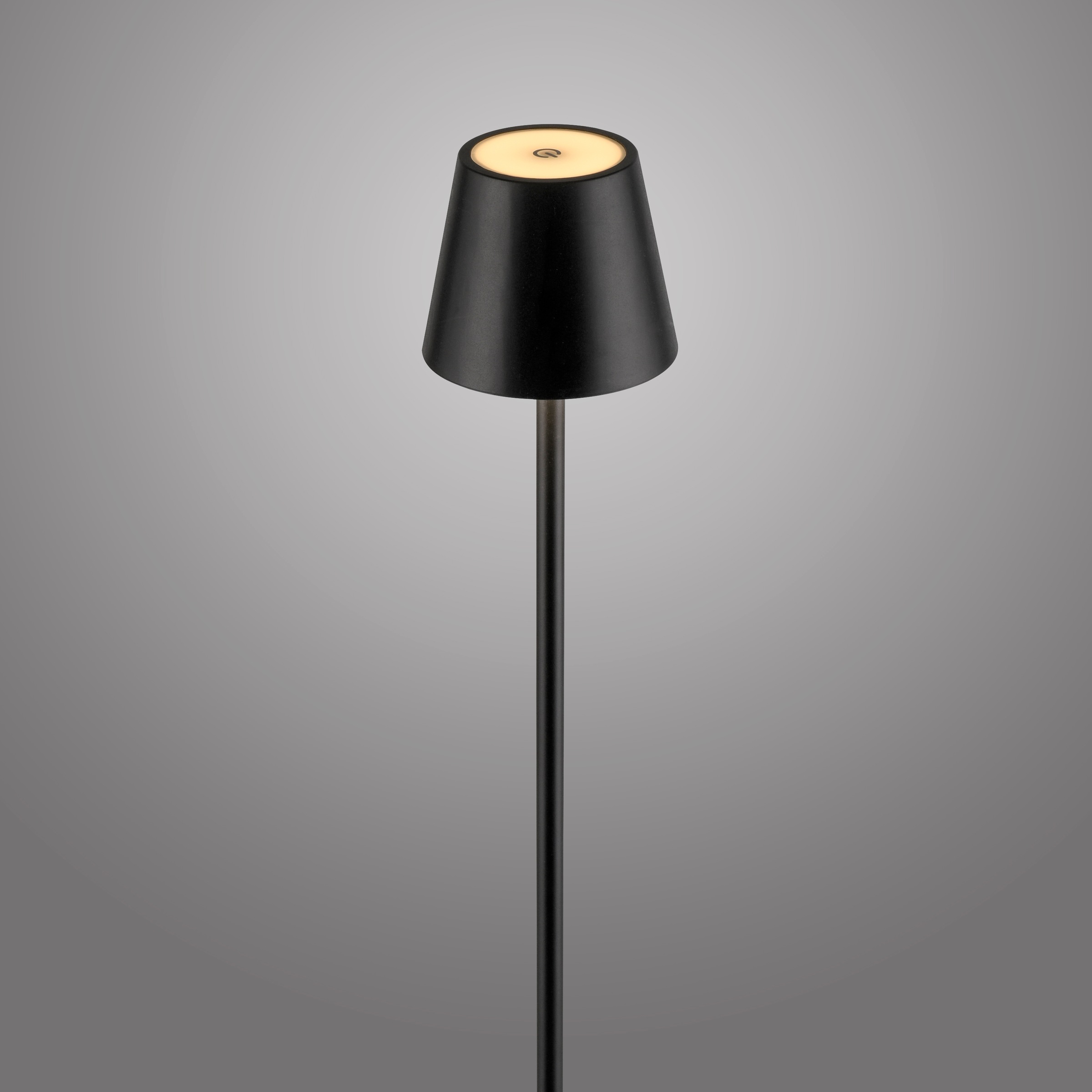 JUST LIGHT Stehlampe »EURIA«, 1 flammig, Leuchtmittel LED-Modul | LED fest integriert, Akkuleuchte