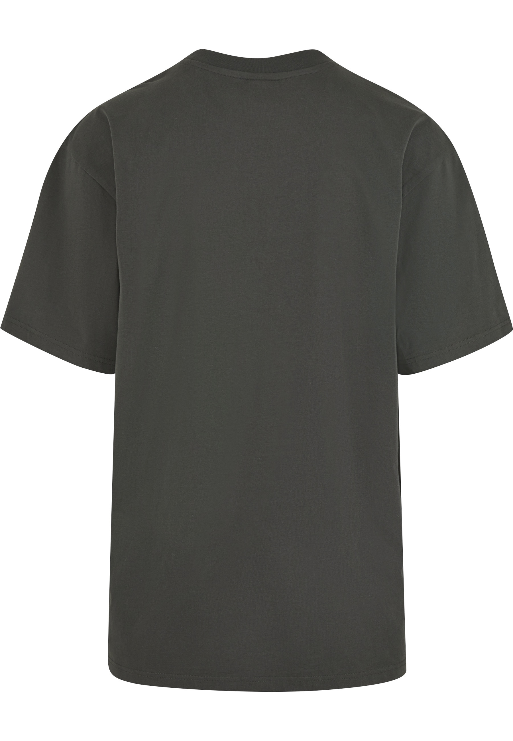 Karl Kani T-Shirt »Karl Kani KK Kani Icy Chrome Tee« 1 Stk.