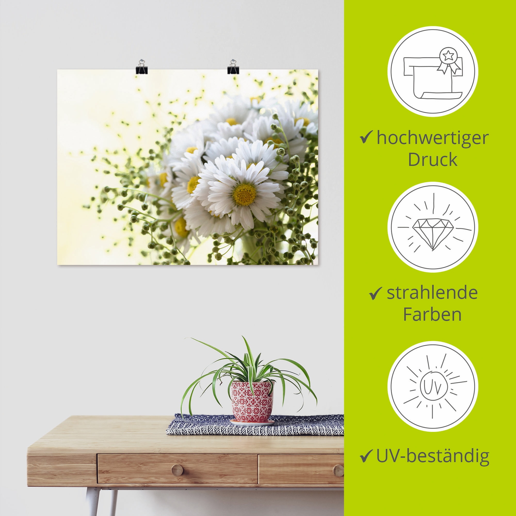 Artland Wandbild »Gänseblümchen und Hofstaat« Blumen 1 Stk. tlg. als Leinwandbild, Poster in verschied. Größen