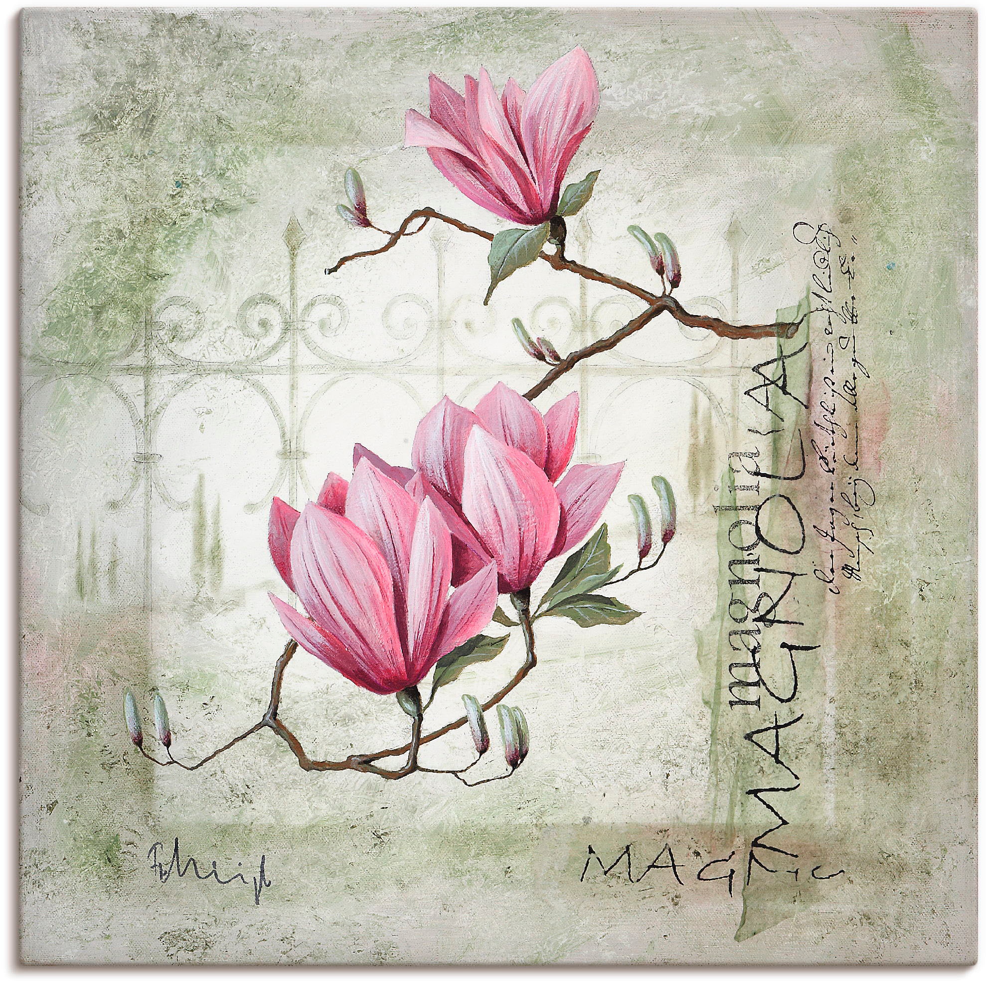 BAUR Poster oder als (1 St.), Leinwandbild, versch. Wandbild »Pinke Magnolie«, Größen Blumen, | Wandaufkleber Artland bestellen in
