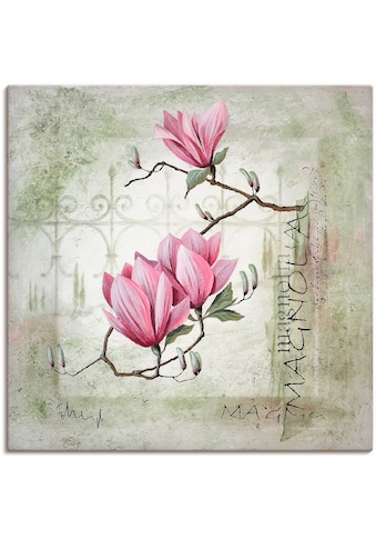 Artland Paveikslas »Pinke Magnolie« Blumen (1 ...