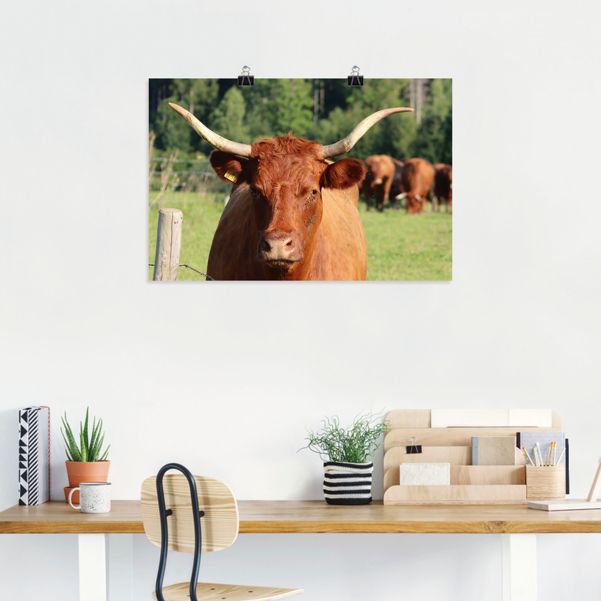 Artland Wandbild »Blickkontakt«, Kuhbilder, (1 St.), als Alubild, Leinwandbild, Wandaufkleber oder Poster in versch. Größen