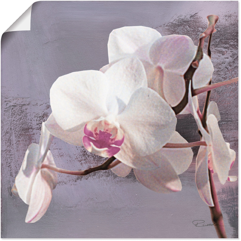 Artland Wandbild »Orchideen vor Violett I«, Blumen, (1 St.)