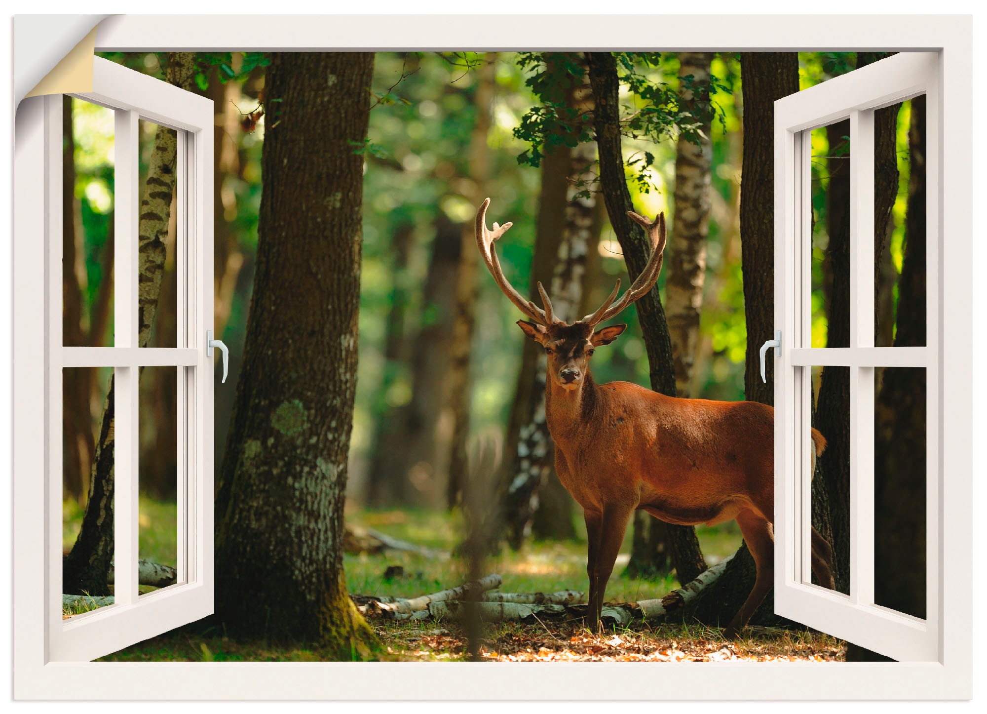 Artland Wandbild »Fensterblick - Hirsch Fensterblick, oder 4 Größen Poster Wald«, St.), - versch. in BAUR | (1 bestellen als Wandaufkleber Leinwandbild