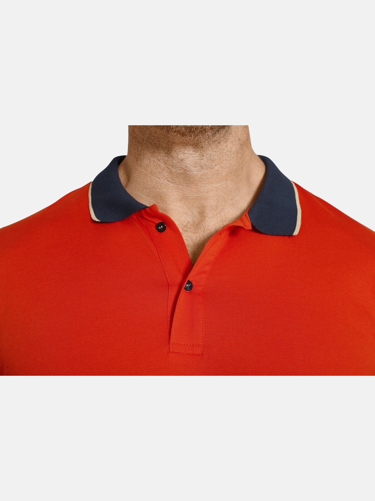 Charles Colby Poloshirt »Poloshirt EARL FIDDERS«, (1 tlg.), +Fit Kollektion, Seitenprint