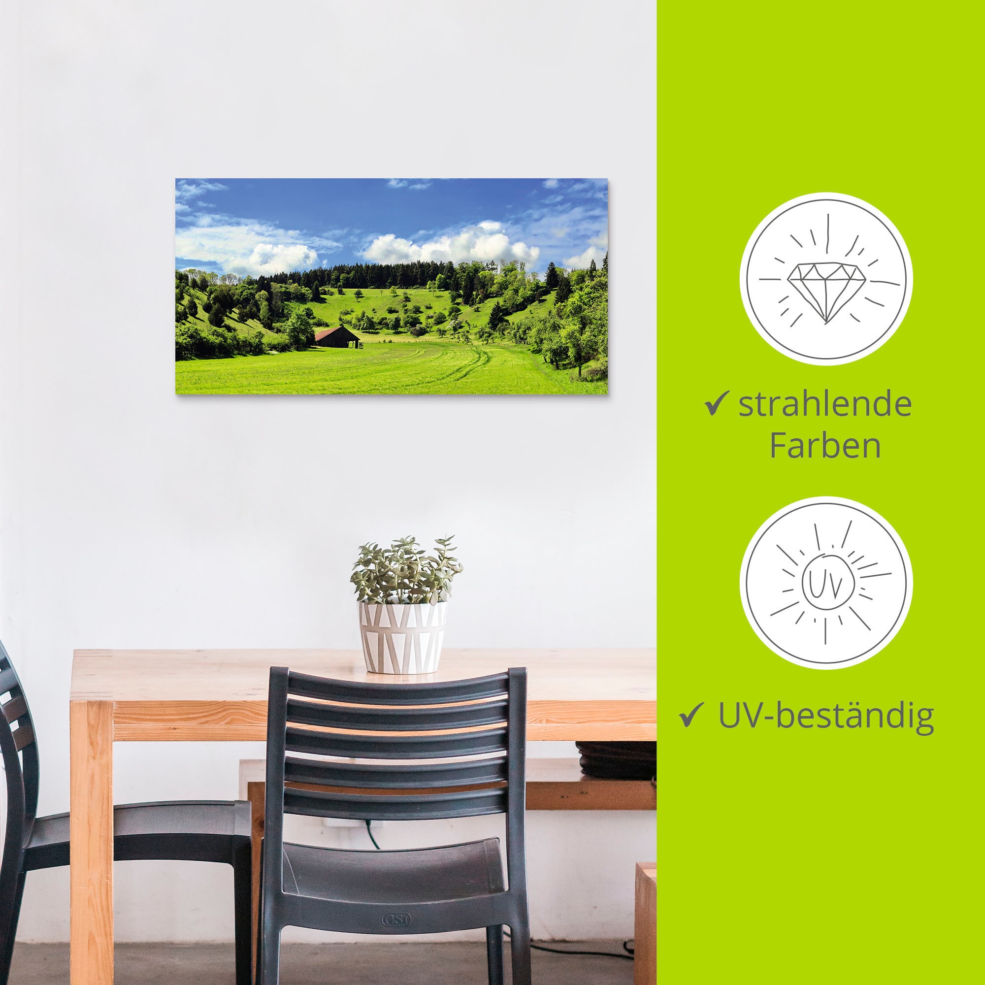 Artland Wandbild »Traumhafte Landschaft im Schwarzwald«, Wiesen & Baumbilder, (1 St.), als Alubild, Outdoorbild, Leinwandbild, Wandaufkleber, versch. Größen