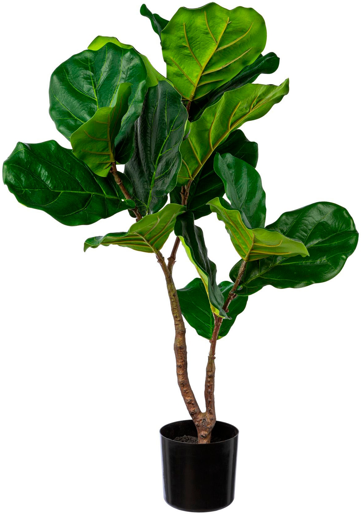 Creativ green Kunstbaum "Ficus Lyrata" günstig online kaufen