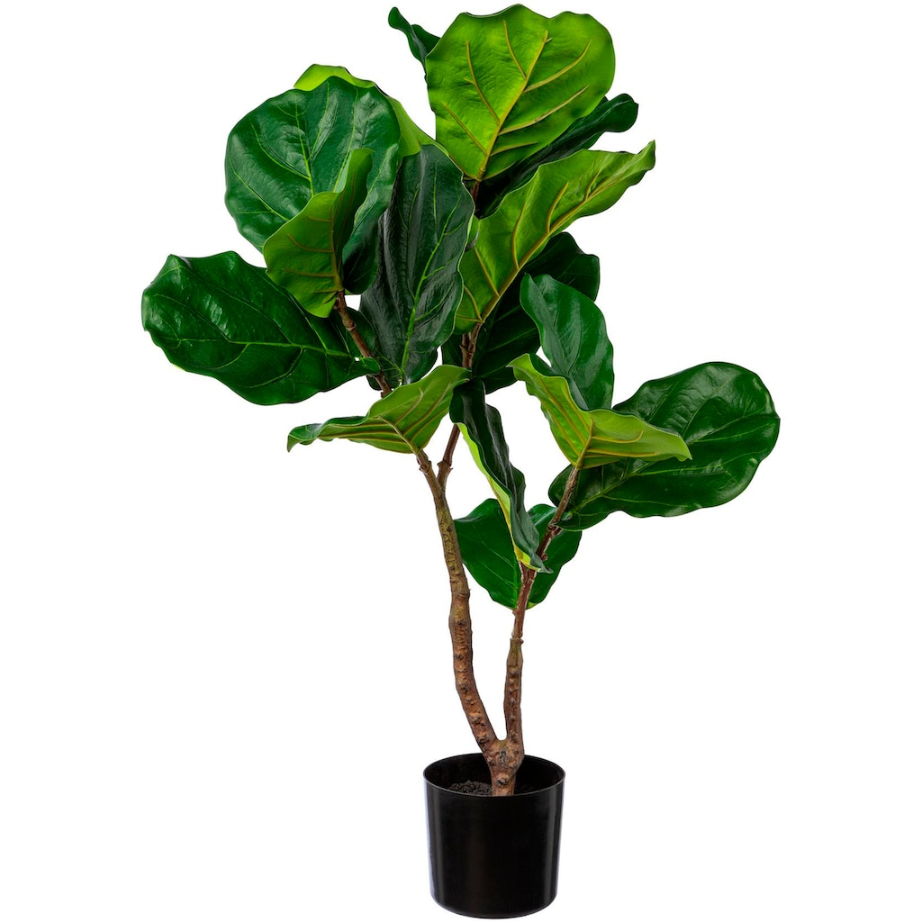 Creativ green Kunstbaum »Ficus Lyrata«