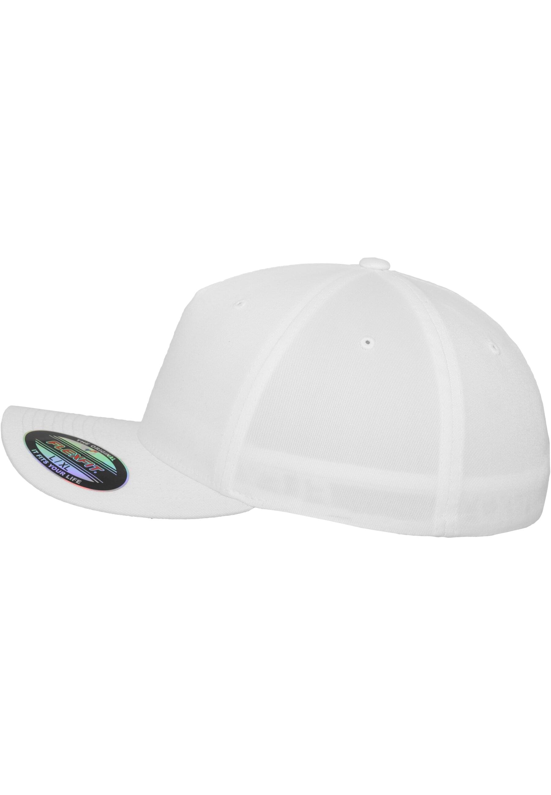 Flexfit Flex Cap »Flexfit Unisex Flexfit 5 Panel«